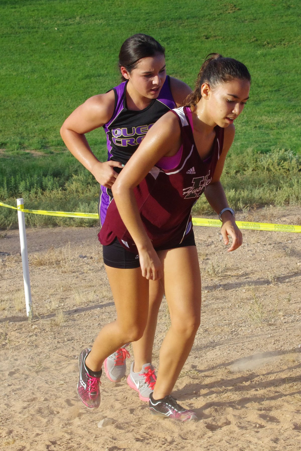 IMGP1498_C.jpg