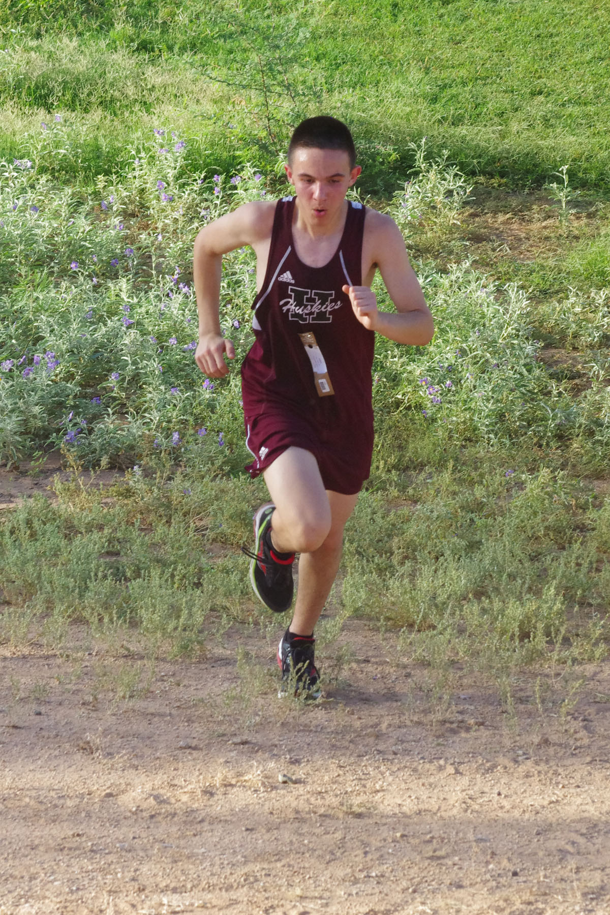 IMGP1506_C.jpg