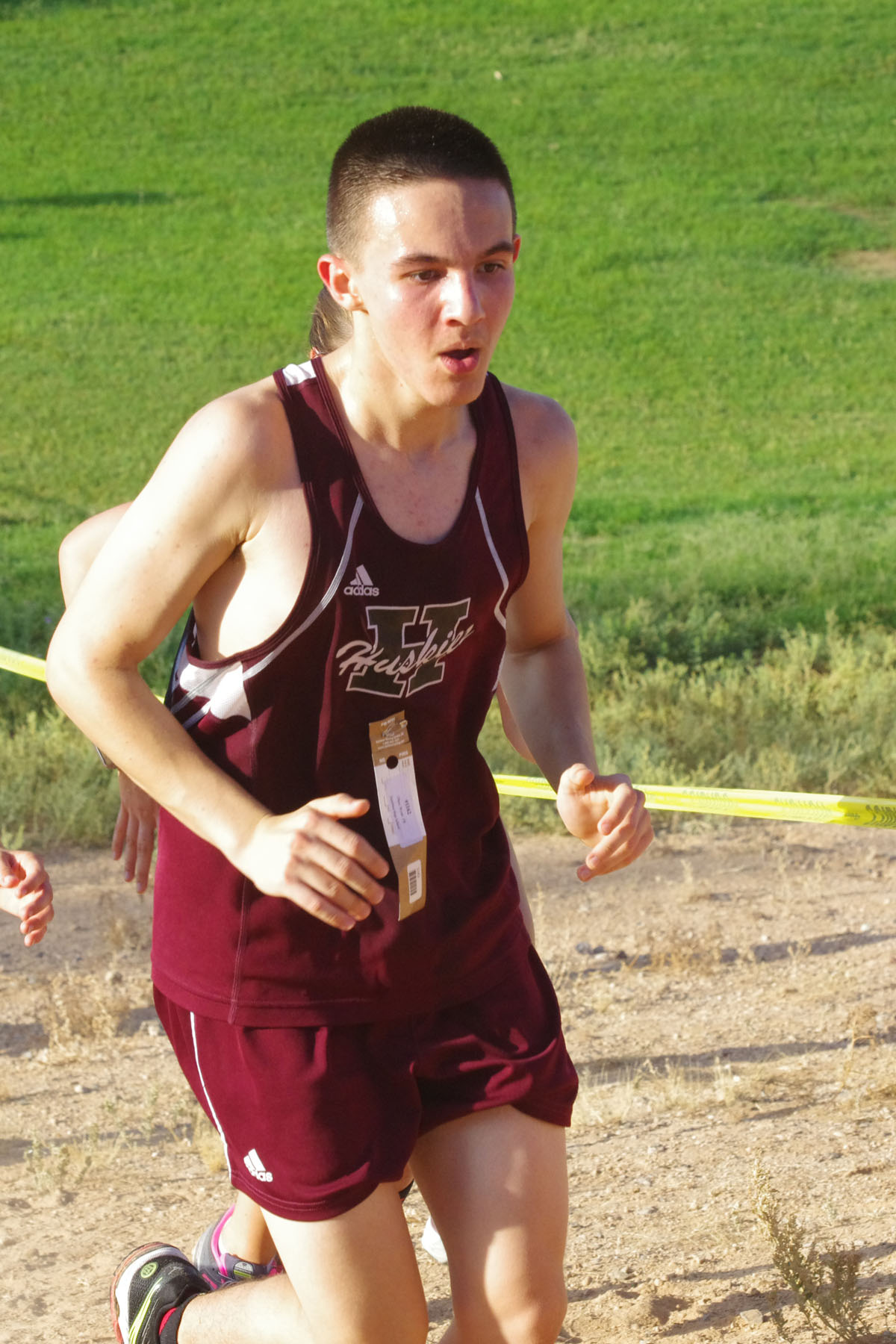 IMGP1510_C.jpg