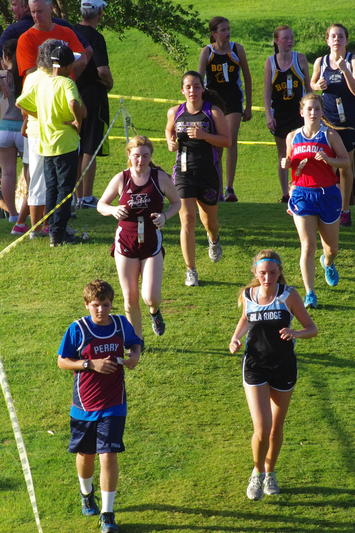IMGP1511_C.jpg