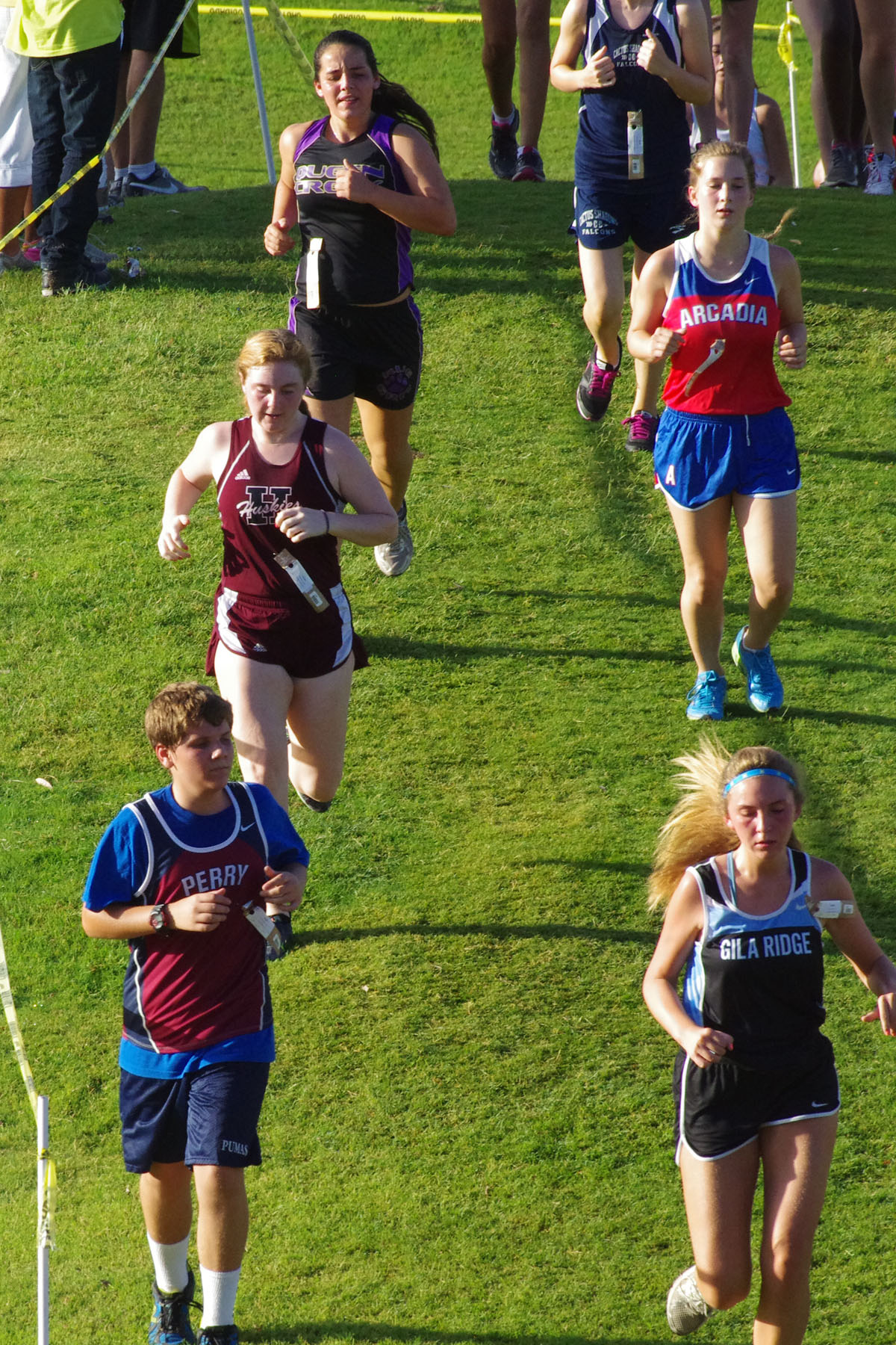IMGP1512_C.jpg