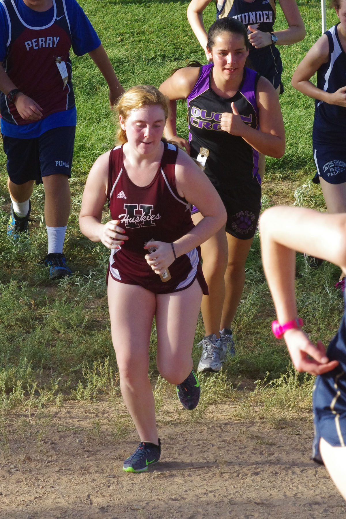 IMGP1514_C.jpg