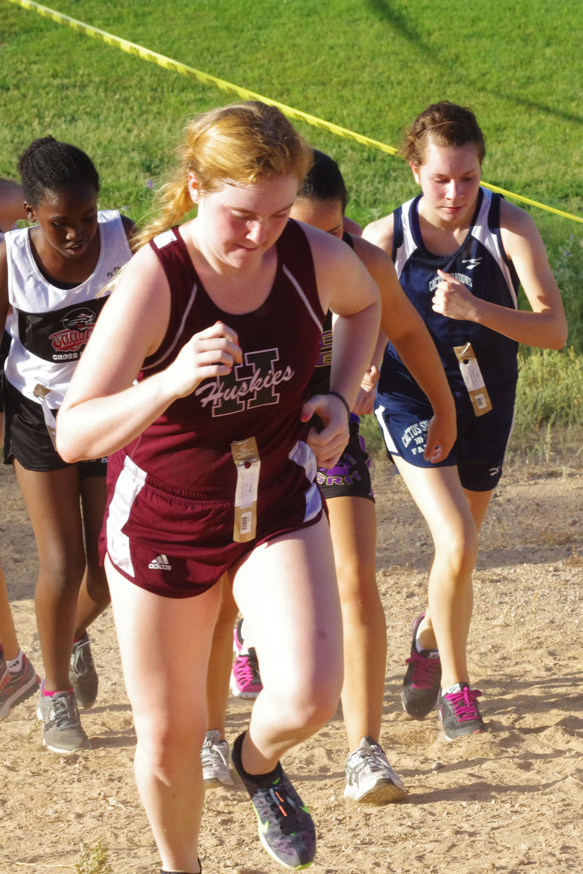 IMGP1517_C.jpg