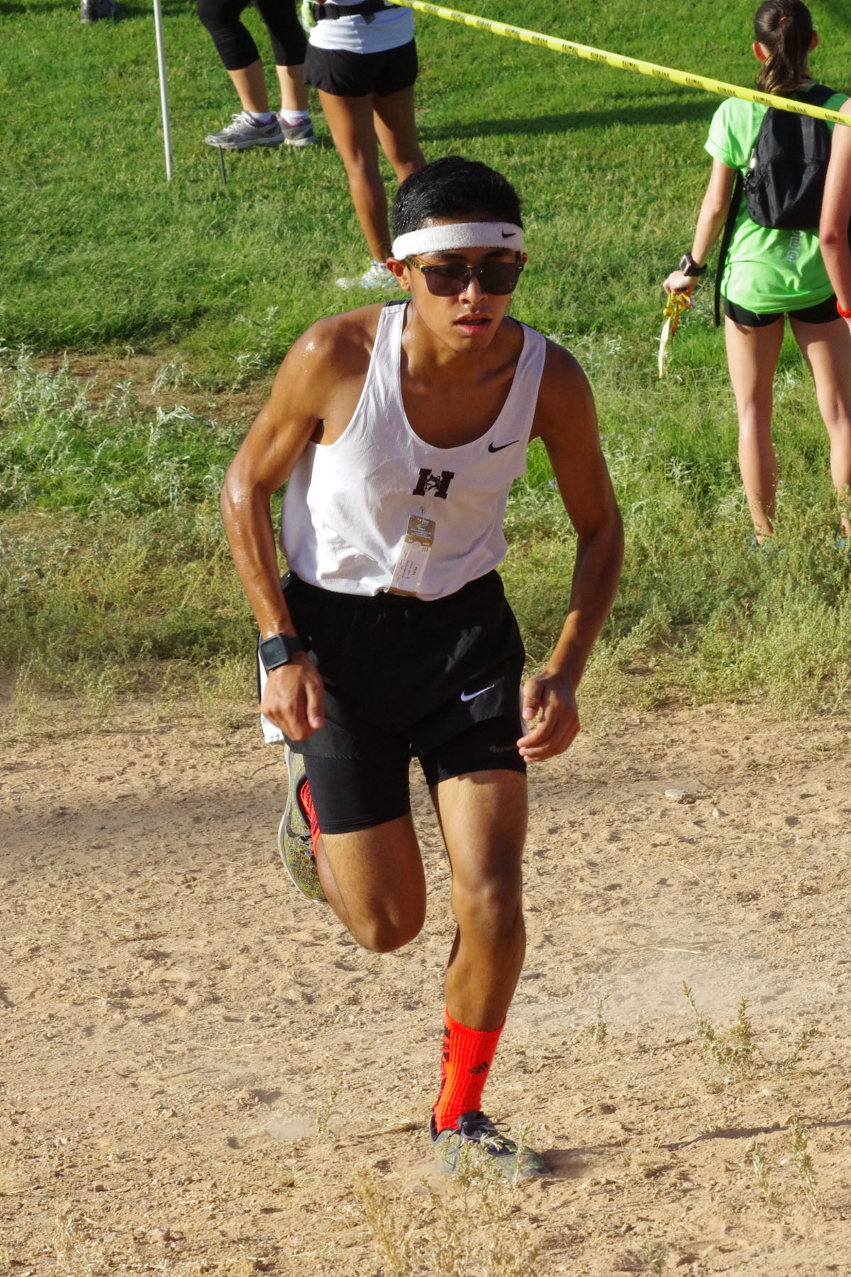 IMGP1546_C.jpg