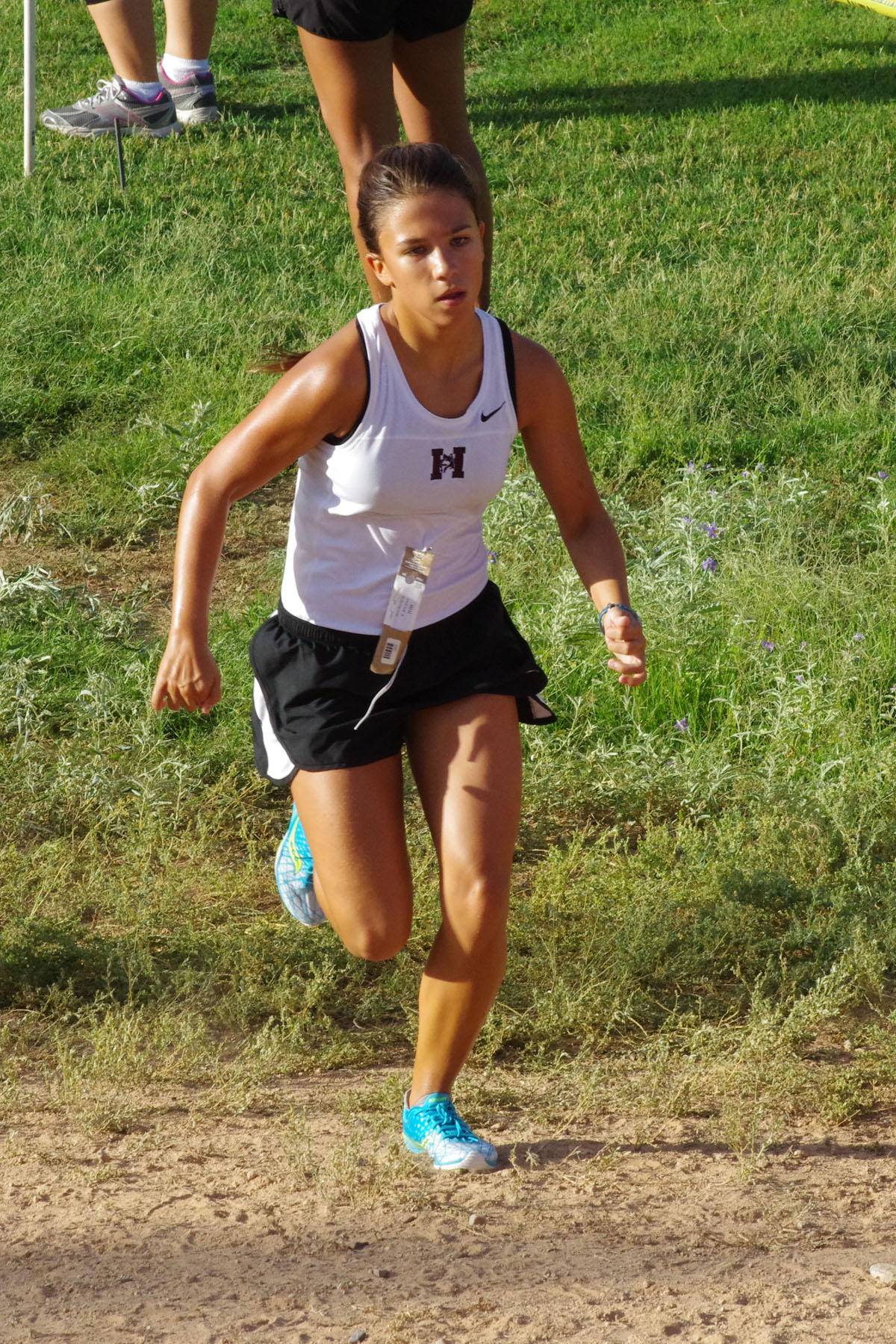 IMGP1549_C.jpg