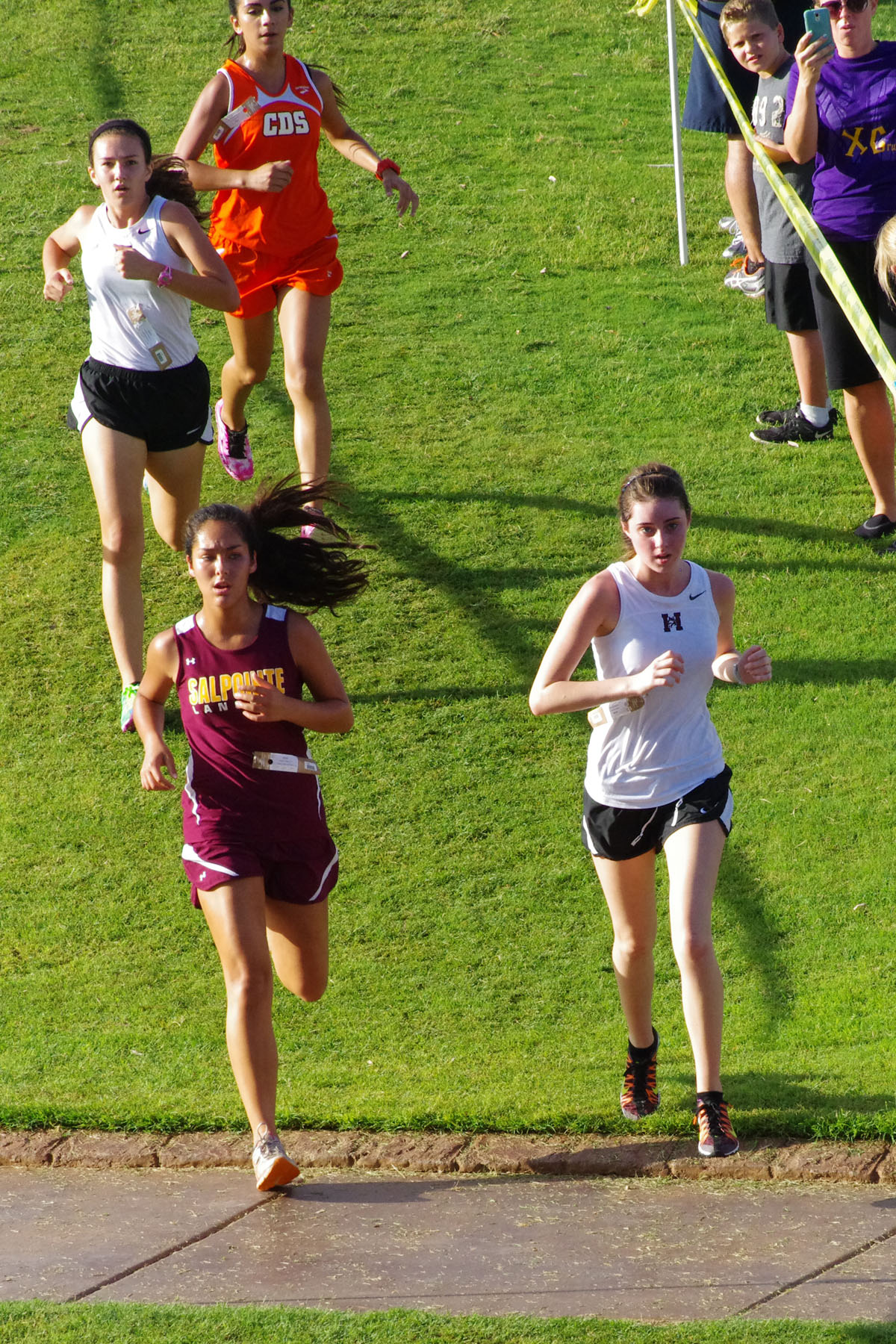IMGP1556_C.jpg