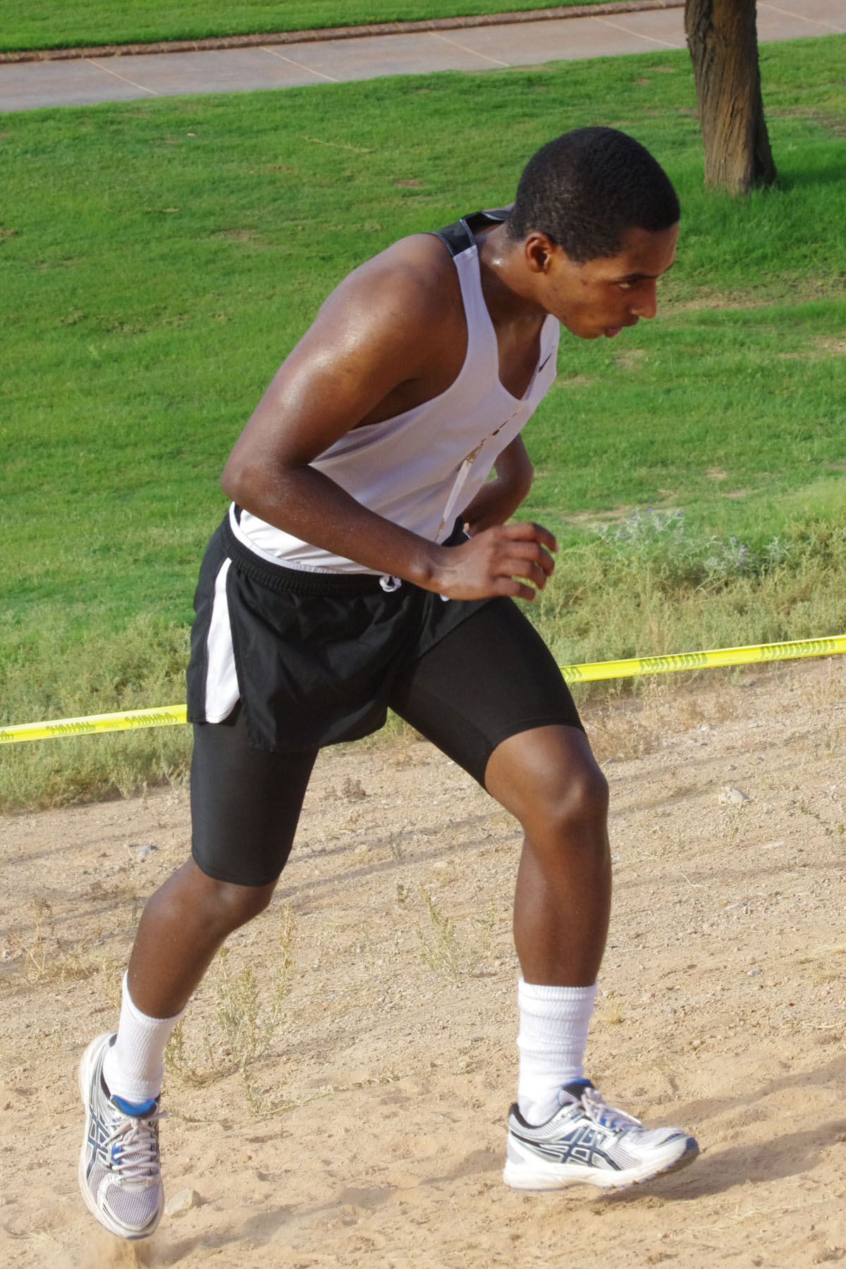 IMGP1579_C.jpg