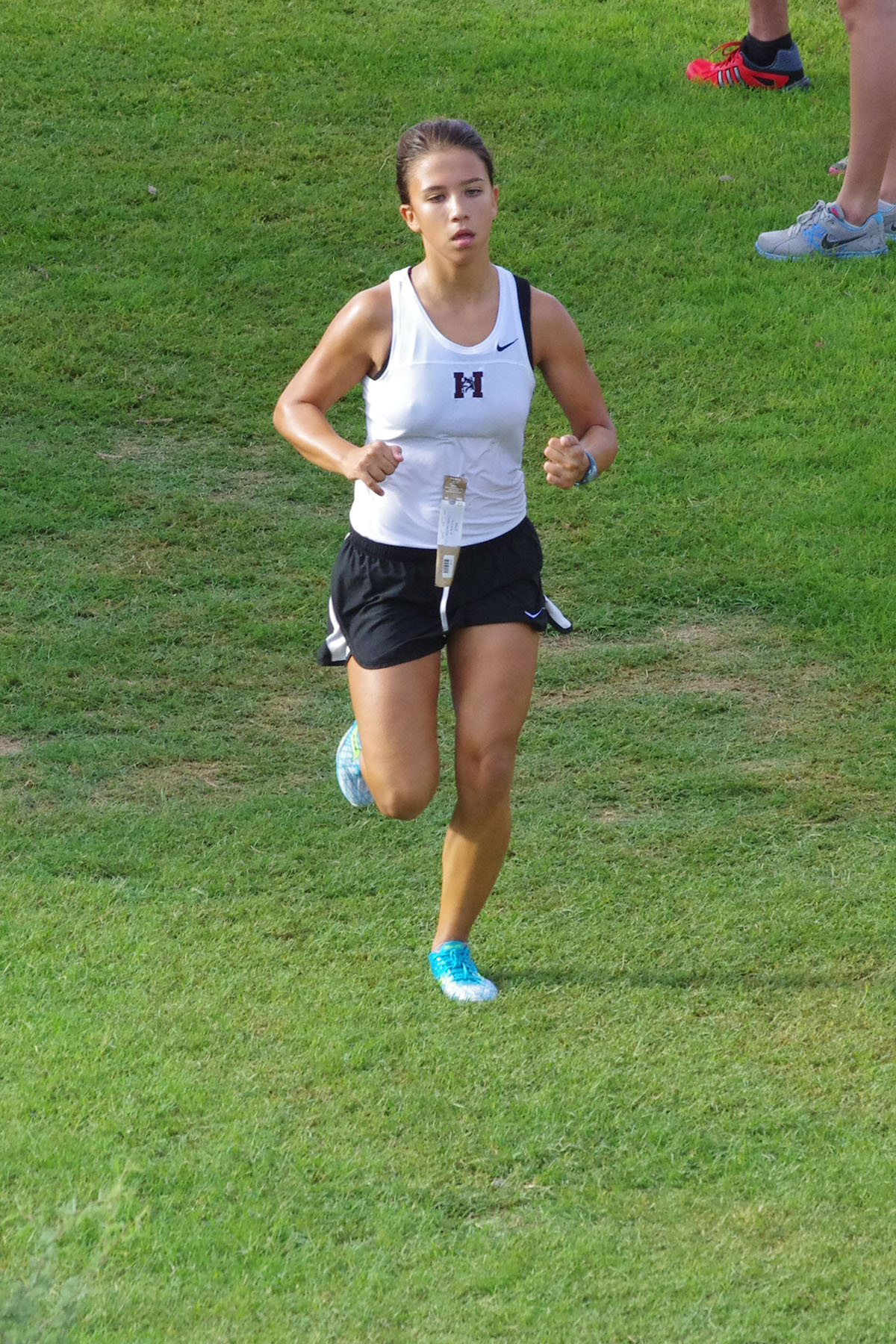IMGP1591_C.jpg