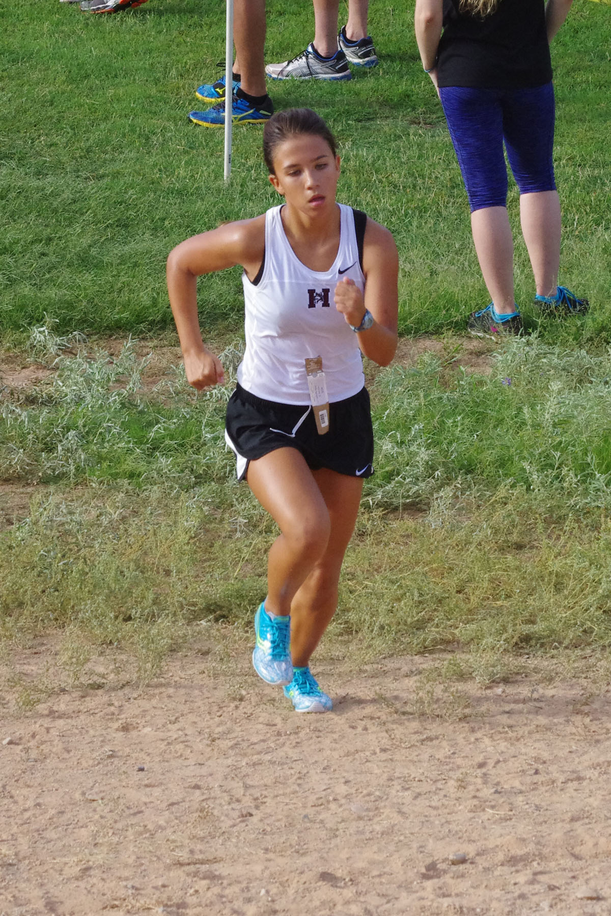 IMGP1595_C.jpg