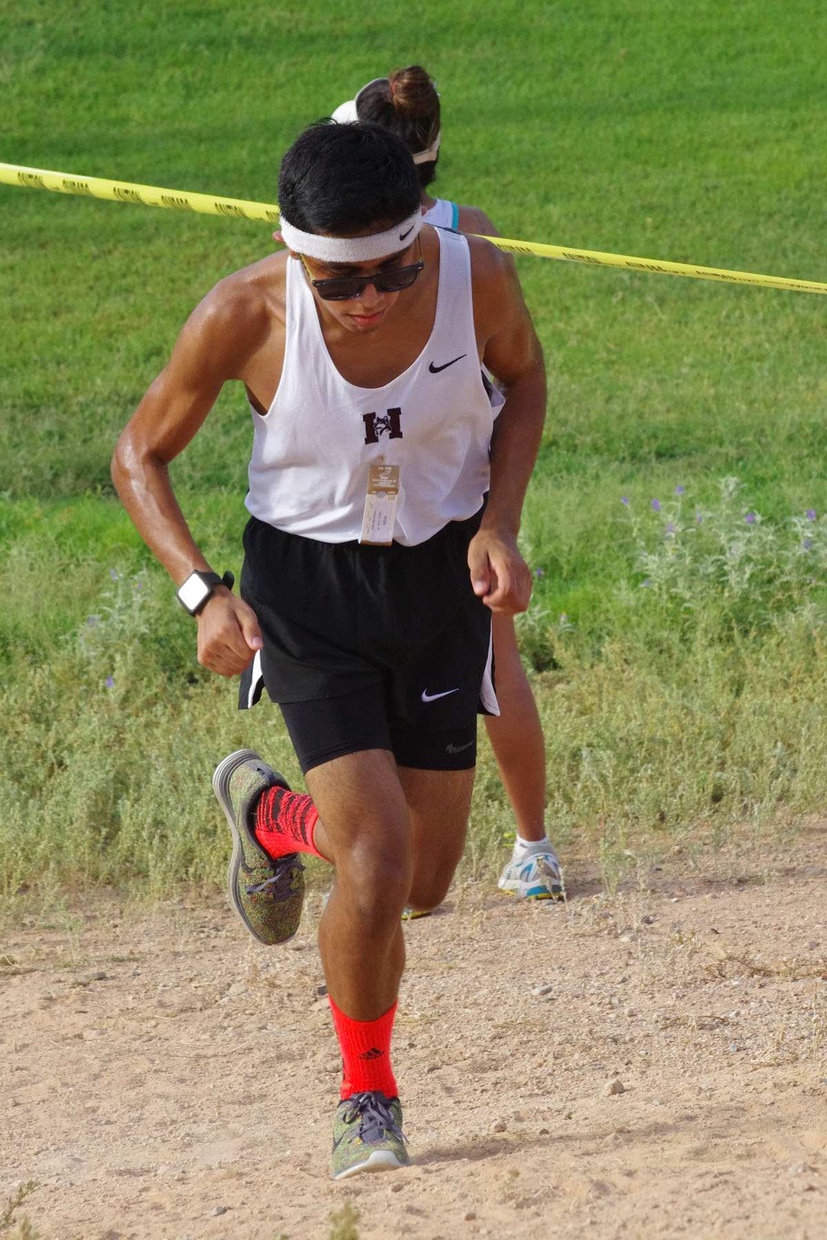IMGP1606_C.jpg