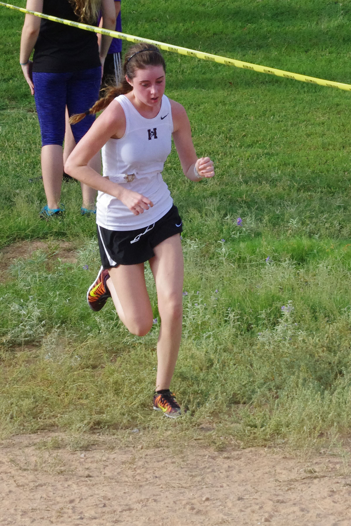 IMGP1619_C.jpg