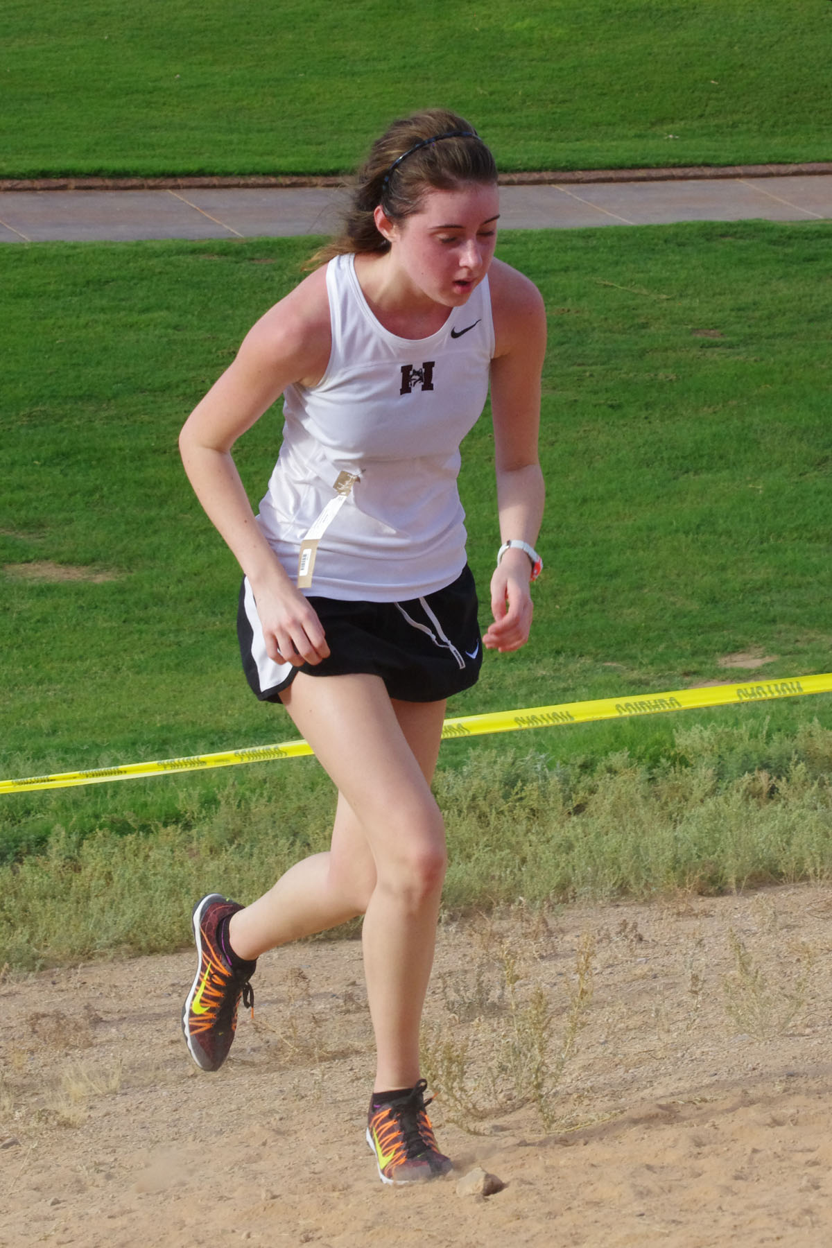 IMGP1624_C.jpg