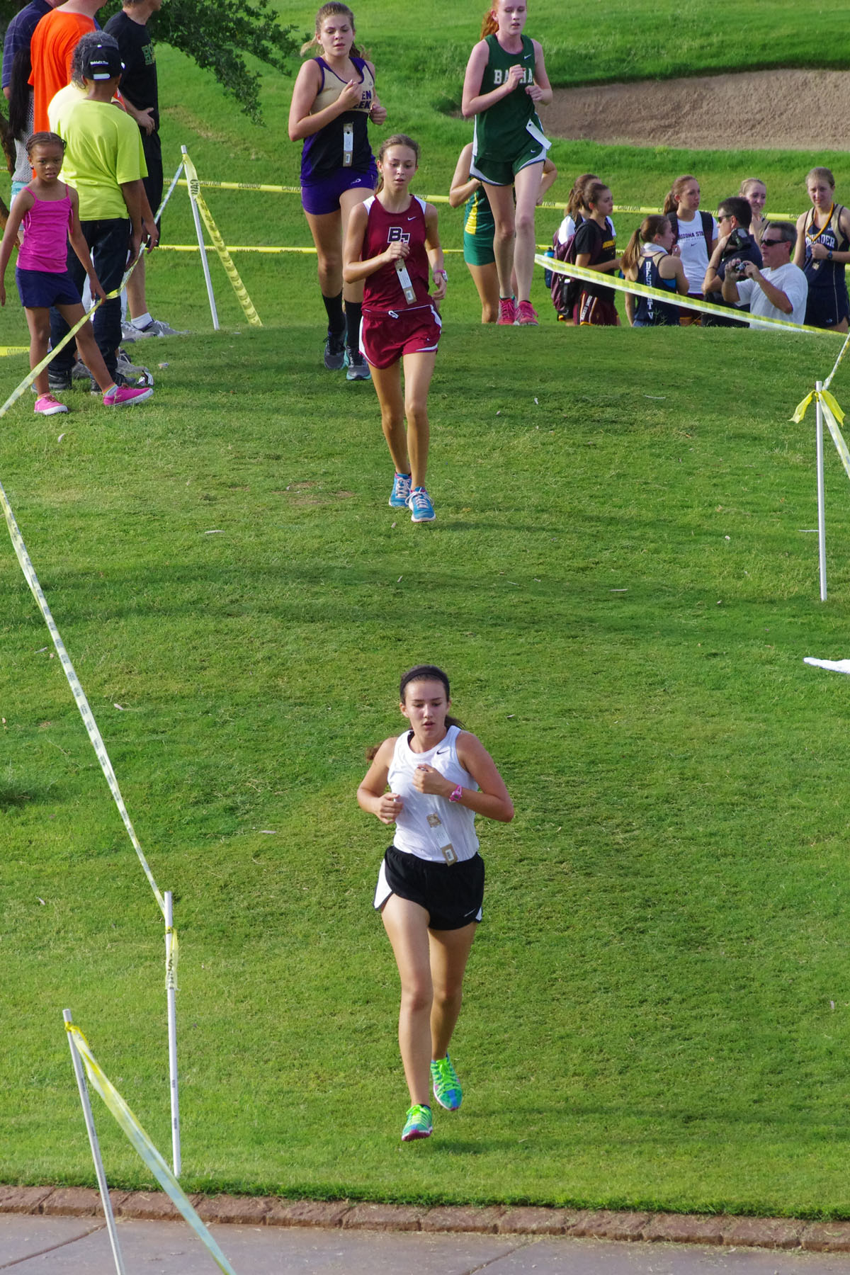 IMGP1630_C.jpg
