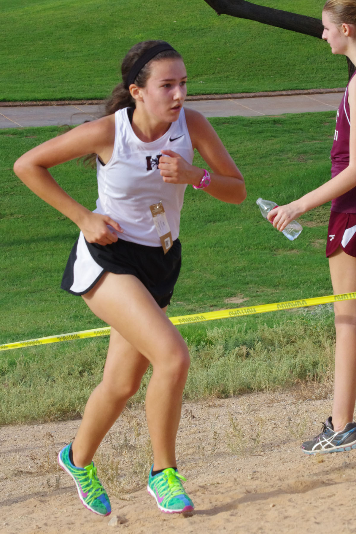 IMGP1638_C.jpg