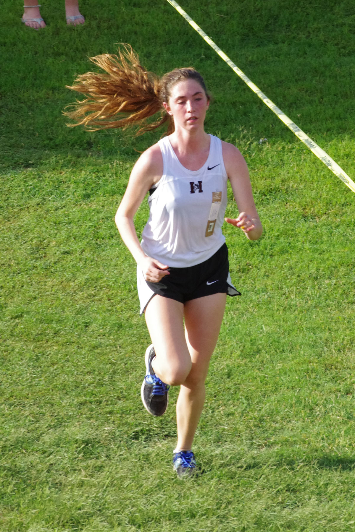 IMGP1646_C.jpg