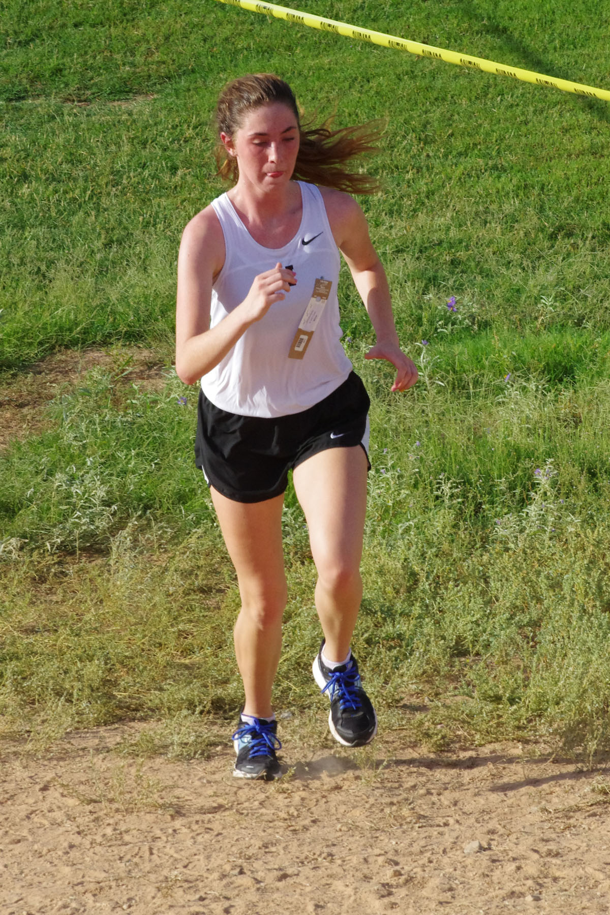 IMGP1647_C.jpg
