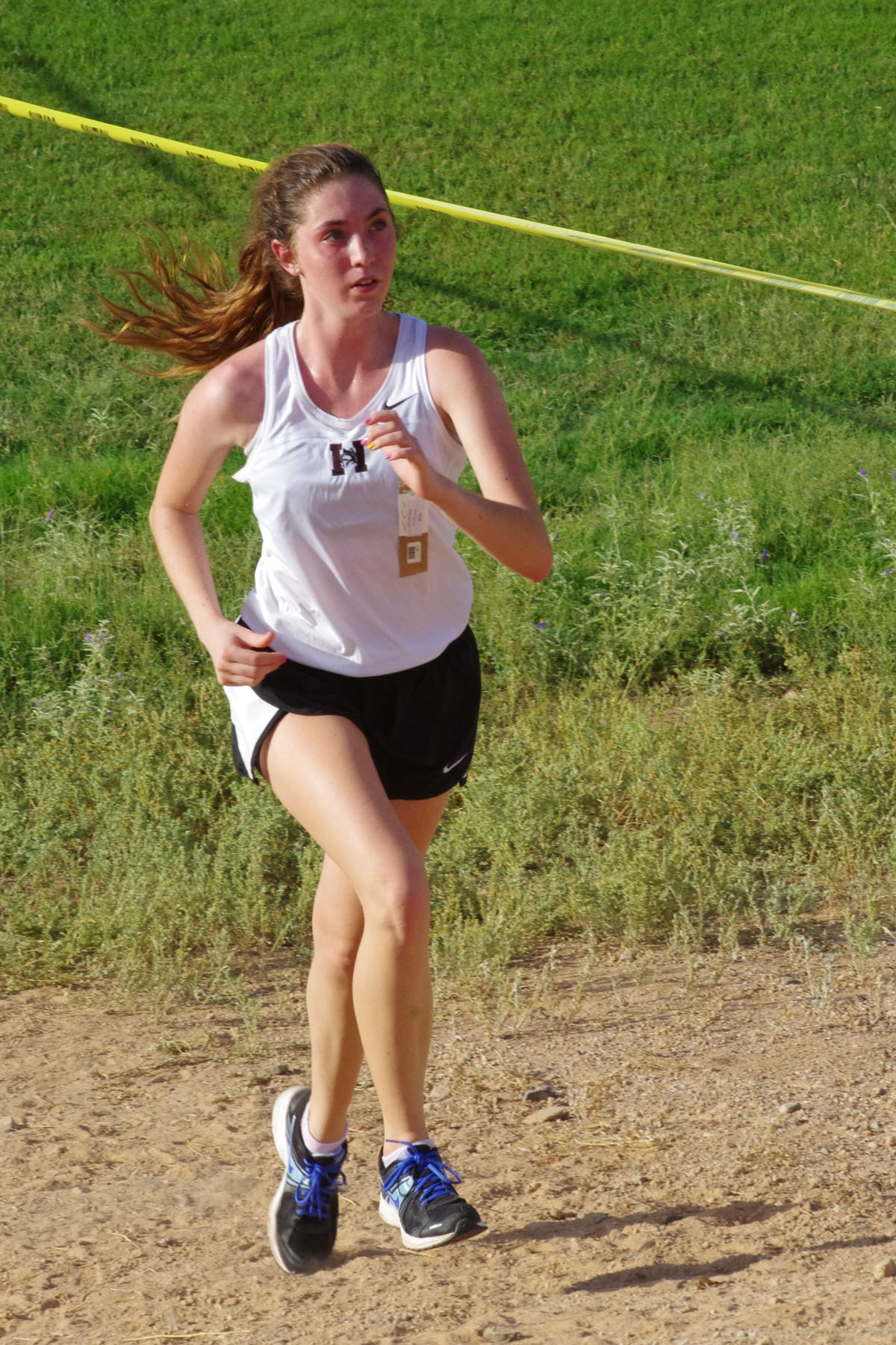 IMGP1648_C.jpg