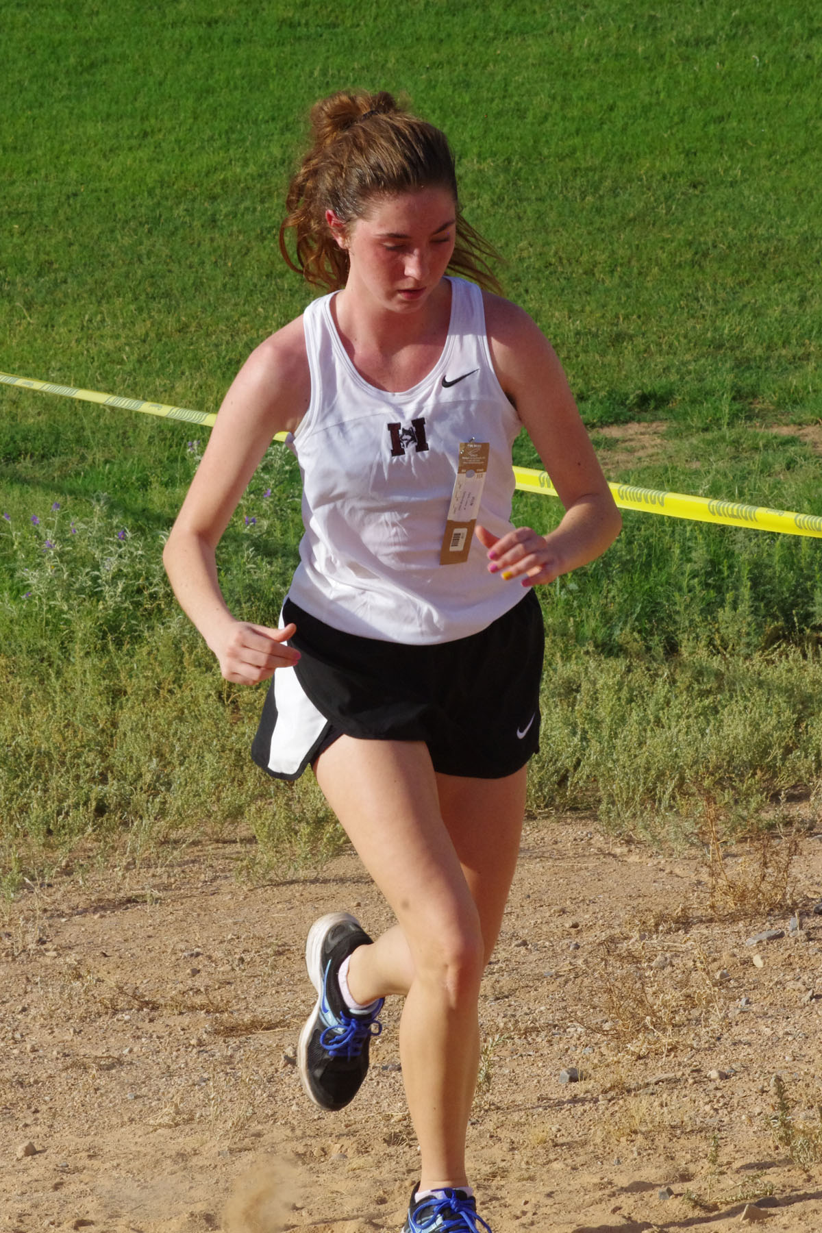 IMGP1649_C.jpg