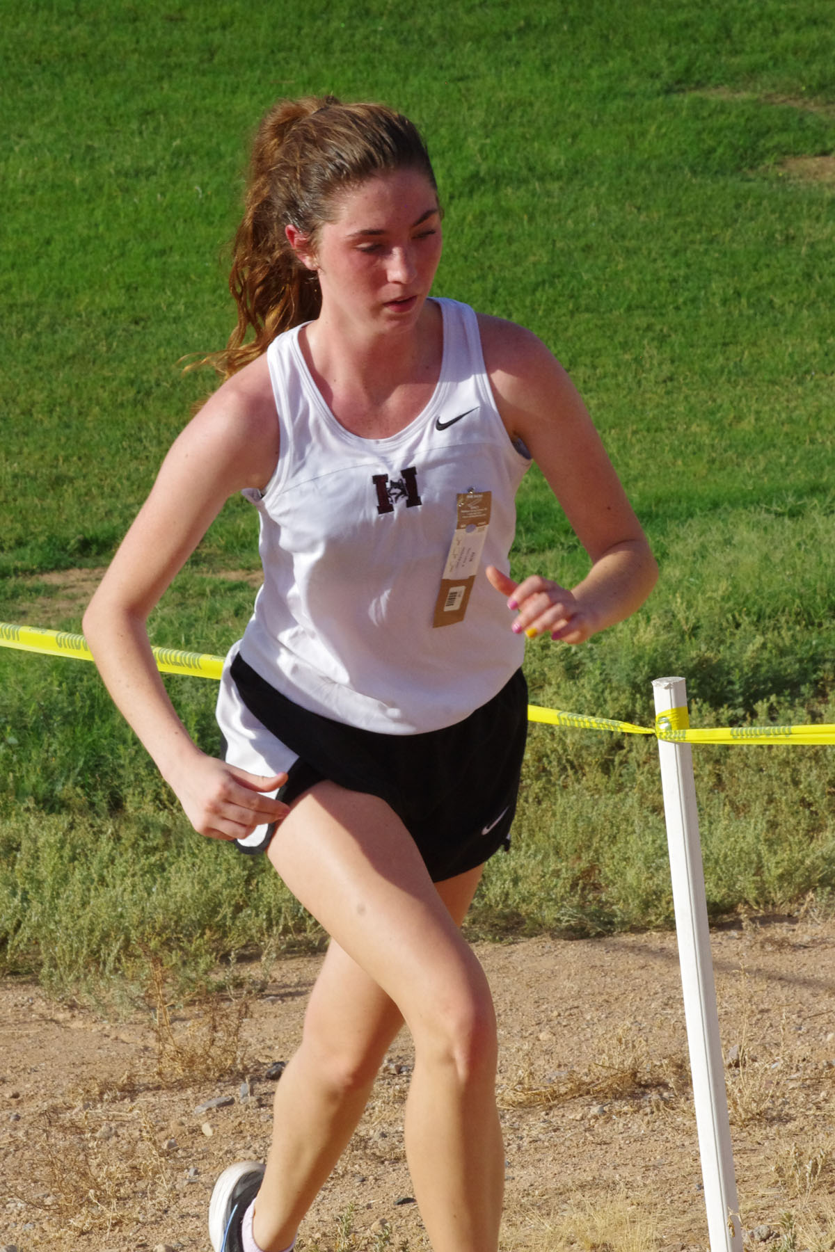 IMGP1650_C.jpg
