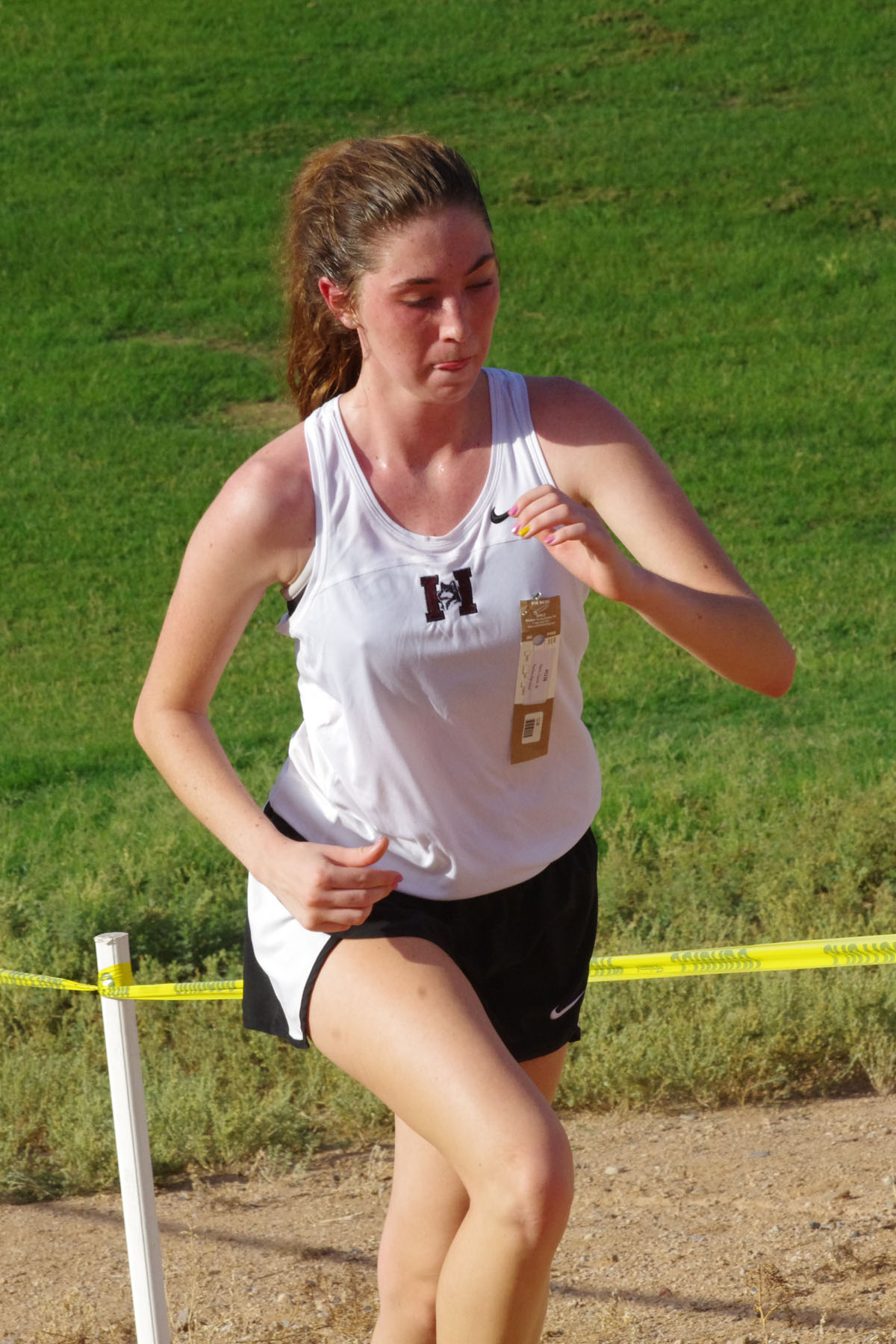 IMGP1651_C.jpg