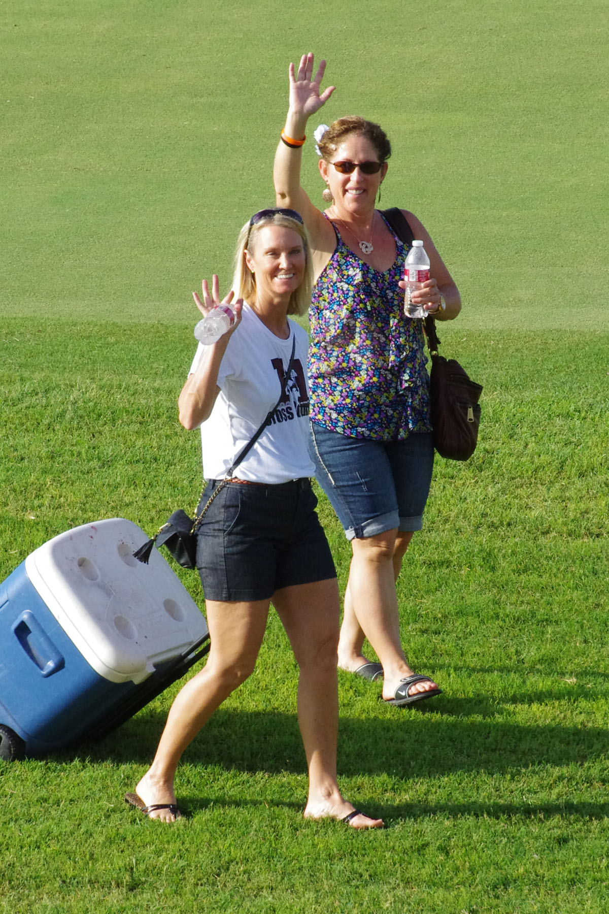 IMGP1658_C.jpg