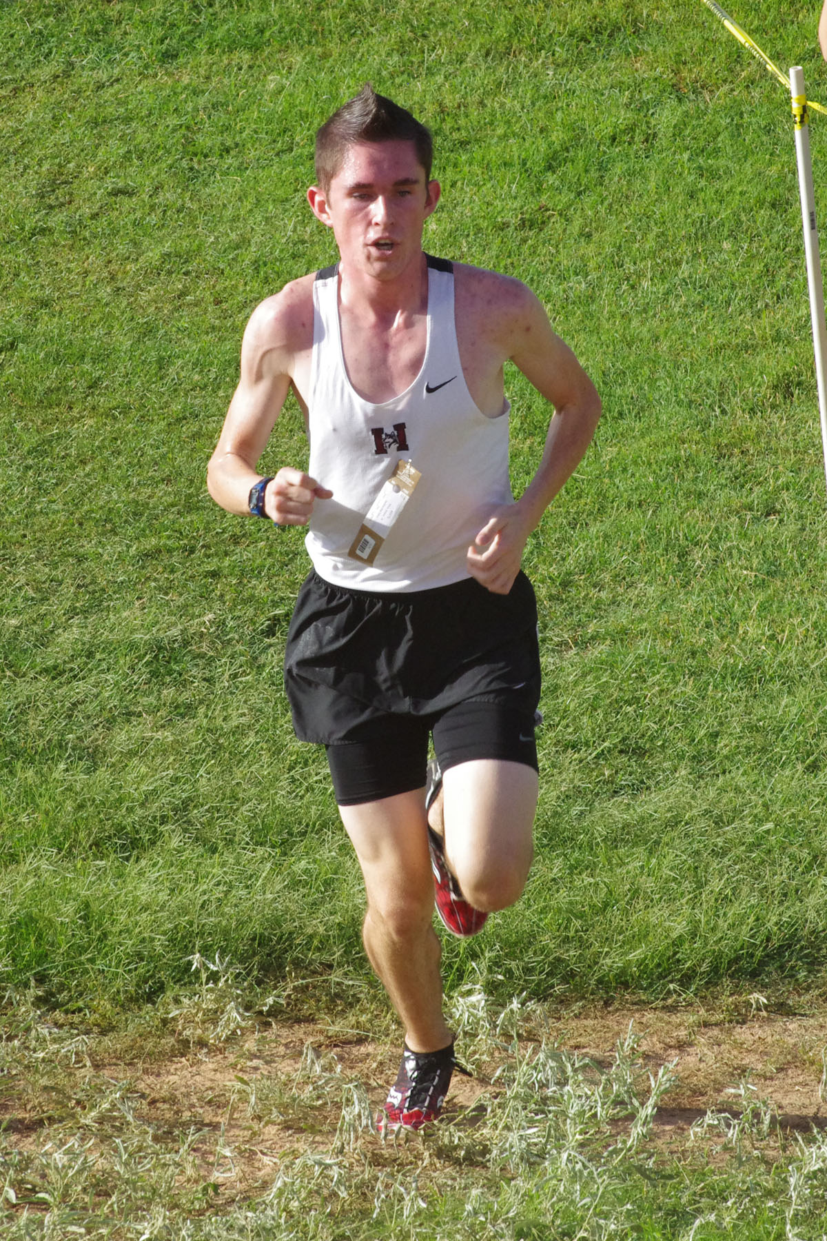 IMGP1688_C.jpg