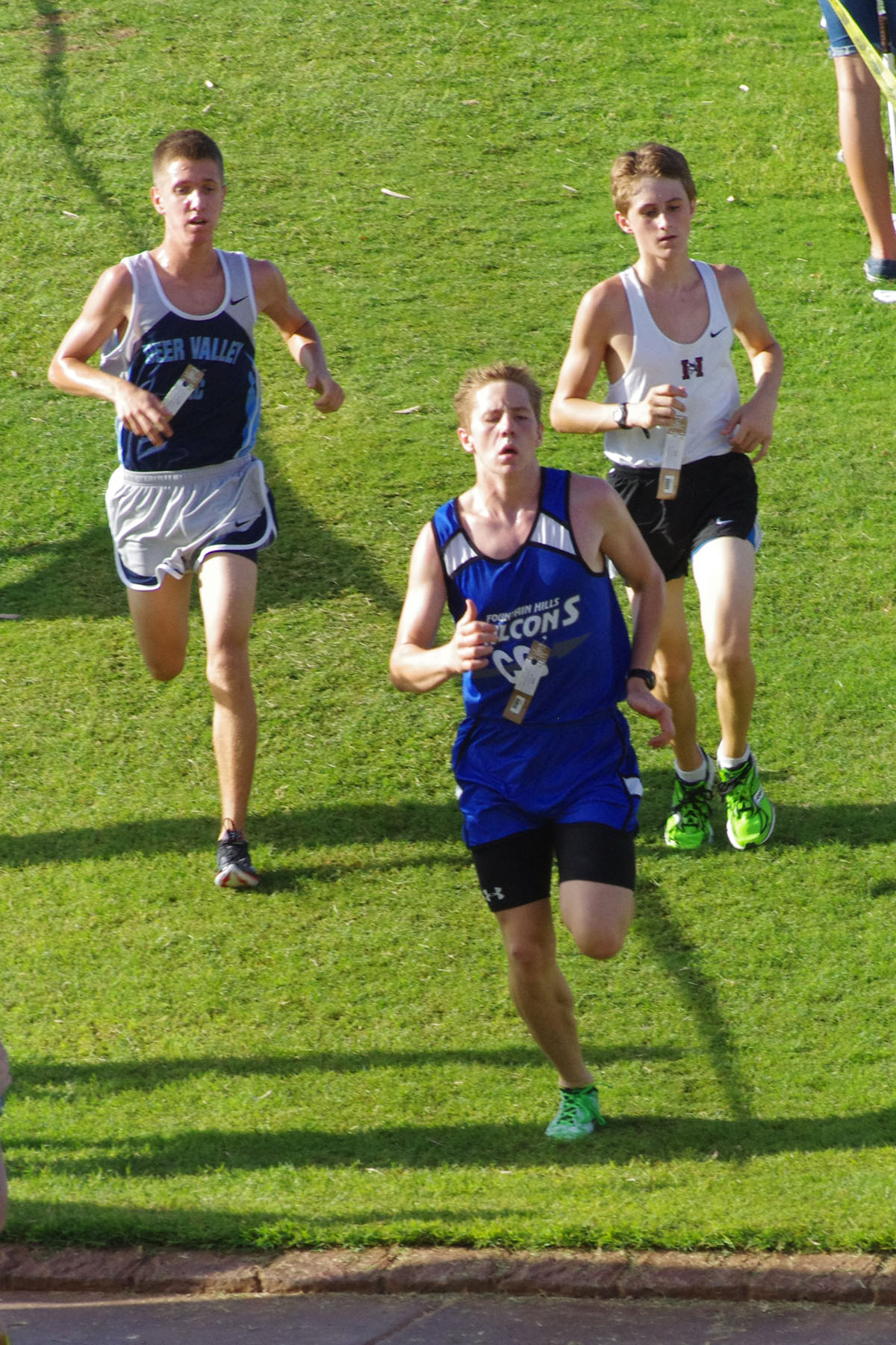 IMGP1703_C.jpg