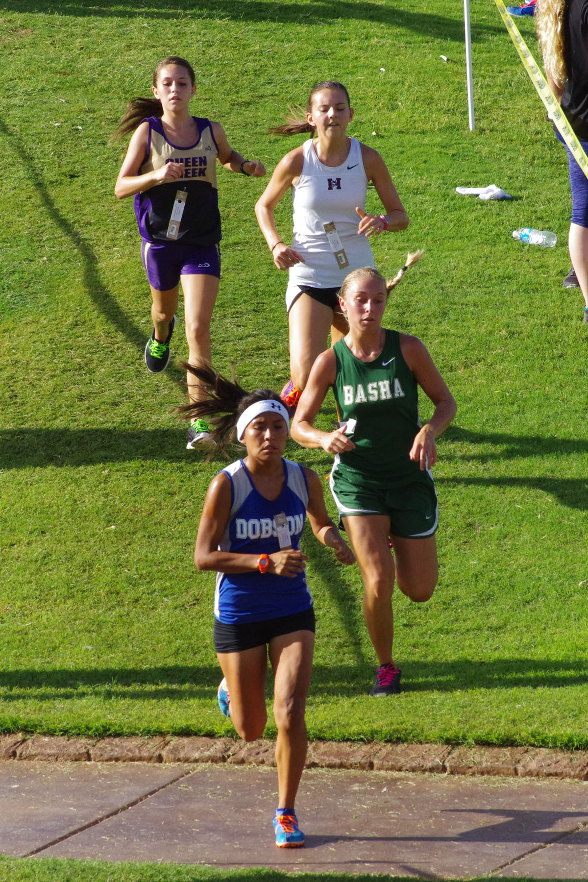 IMGP1733_C.jpg