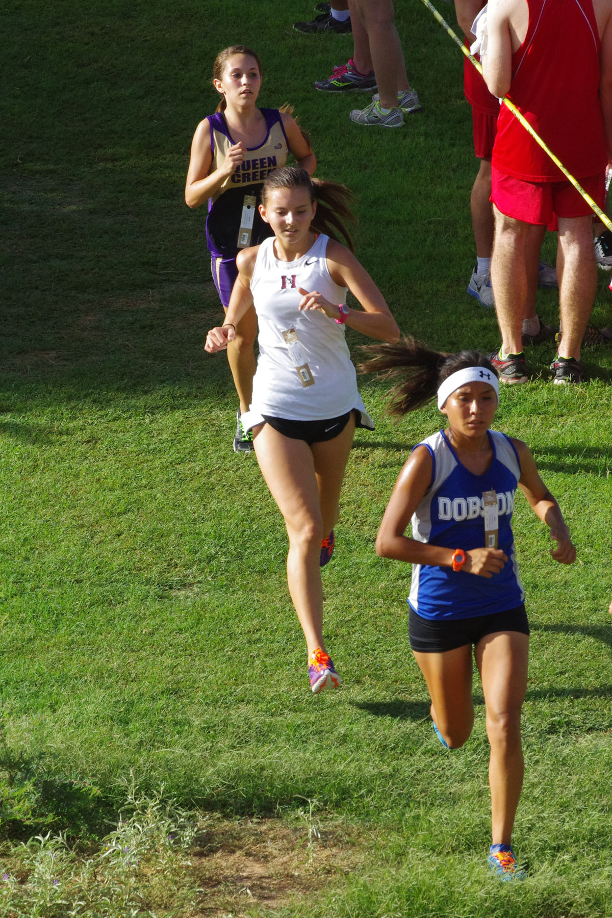 IMGP1734_C.jpg