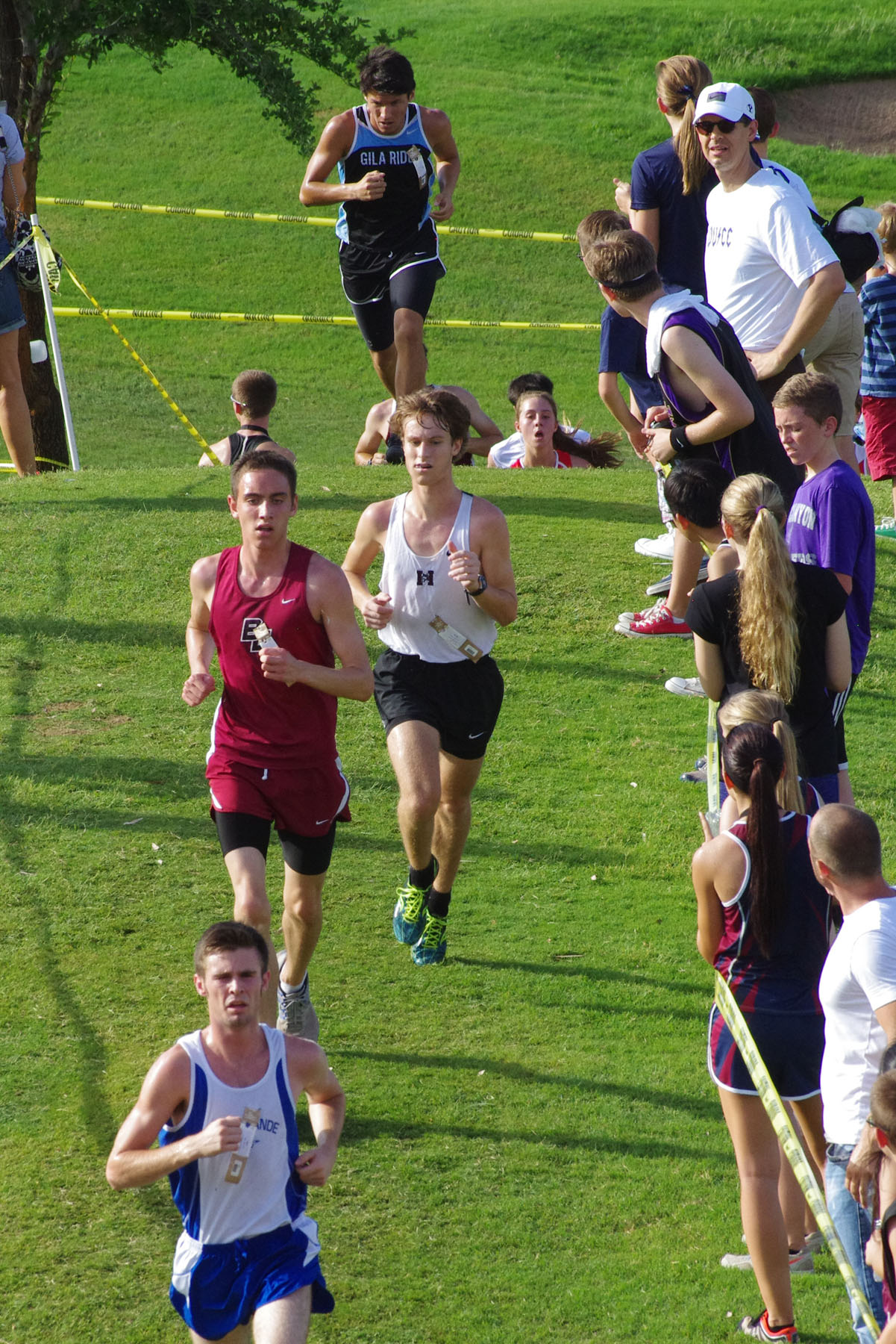 IMGP1762_C.jpg