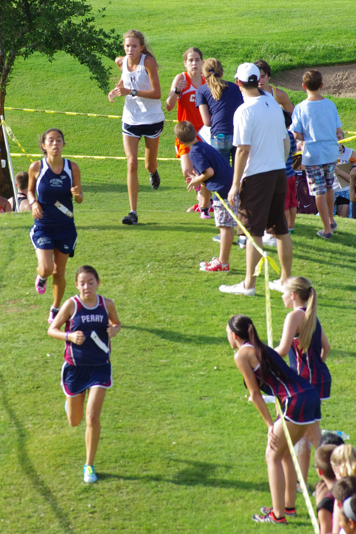 IMGP1779_C.jpg