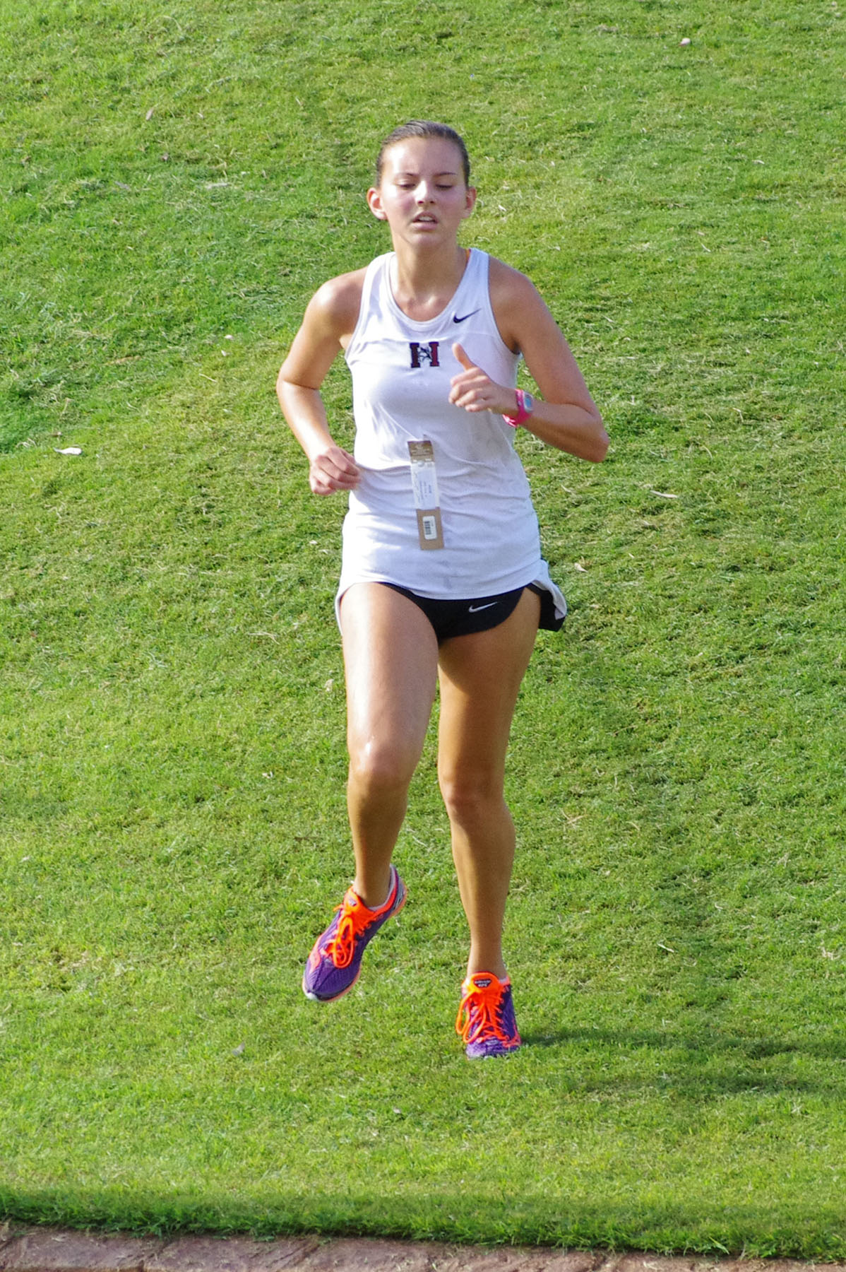 IMGP1814_C.jpg