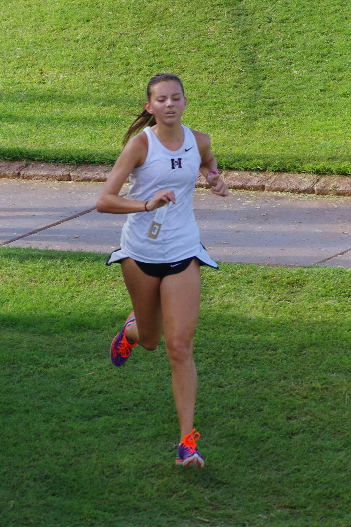 IMGP1815_C.jpg