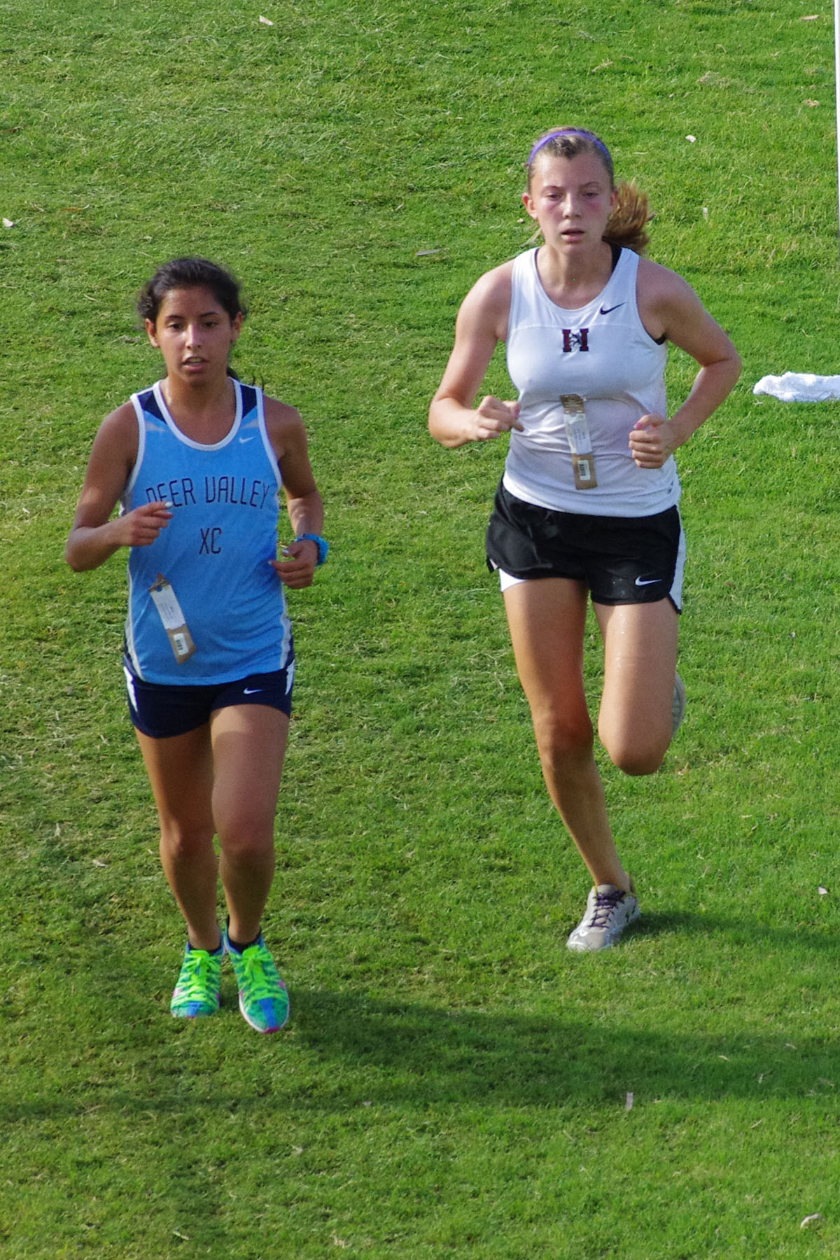 IMGP1822_C.jpg