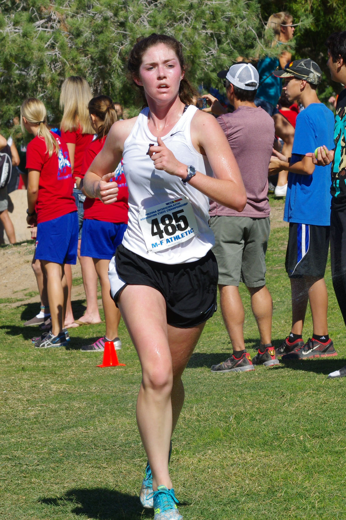 IMGP5855_C.jpg