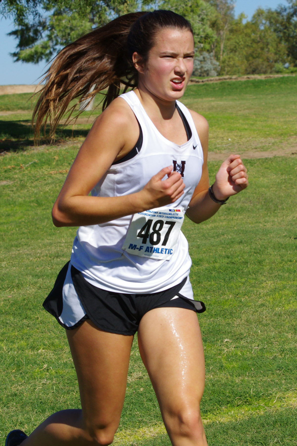 IMGP5880_C.jpg