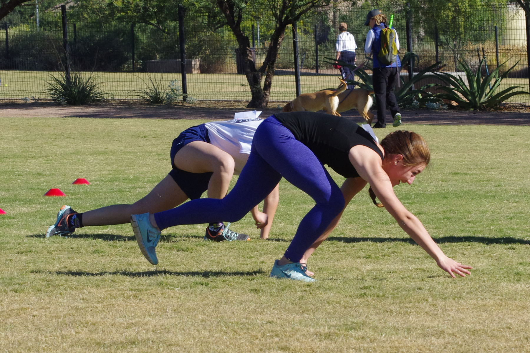 IMGP9162_C.jpg
