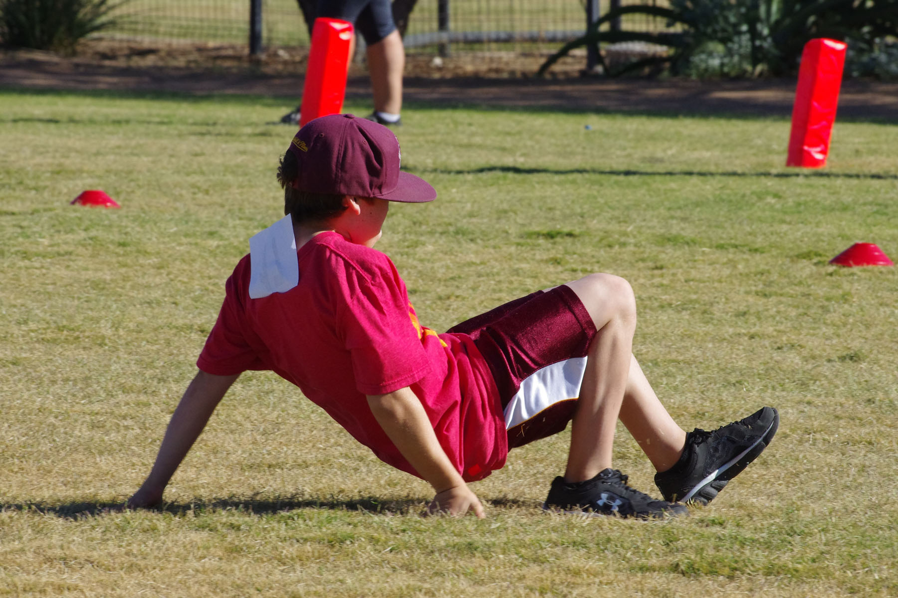 IMGP9328_C.jpg