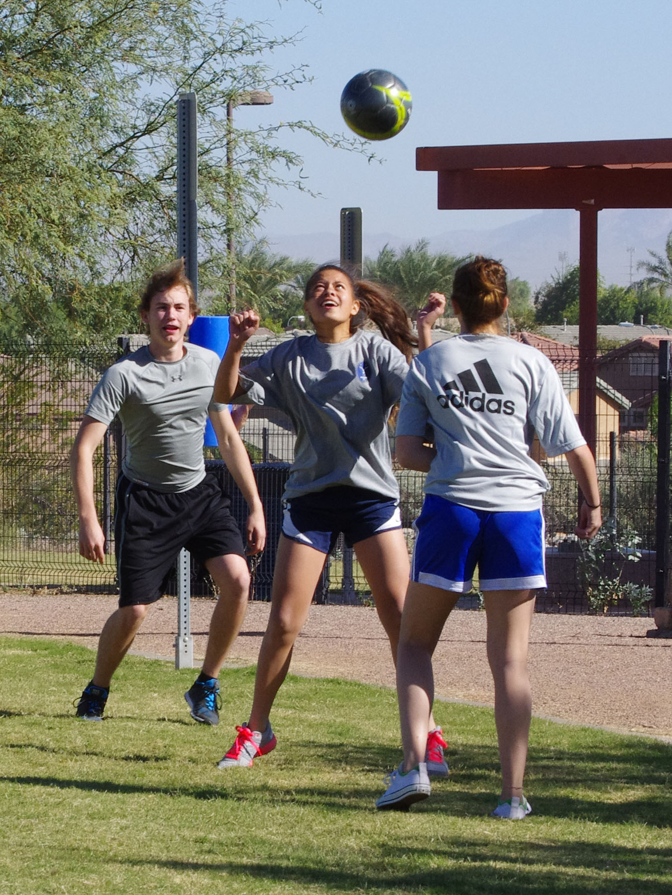 IMGP9542_C.jpg