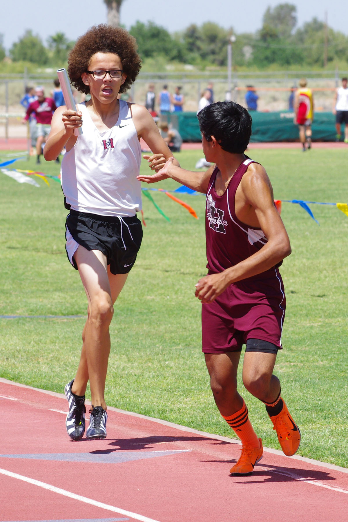 IMGP8013_C.jpg