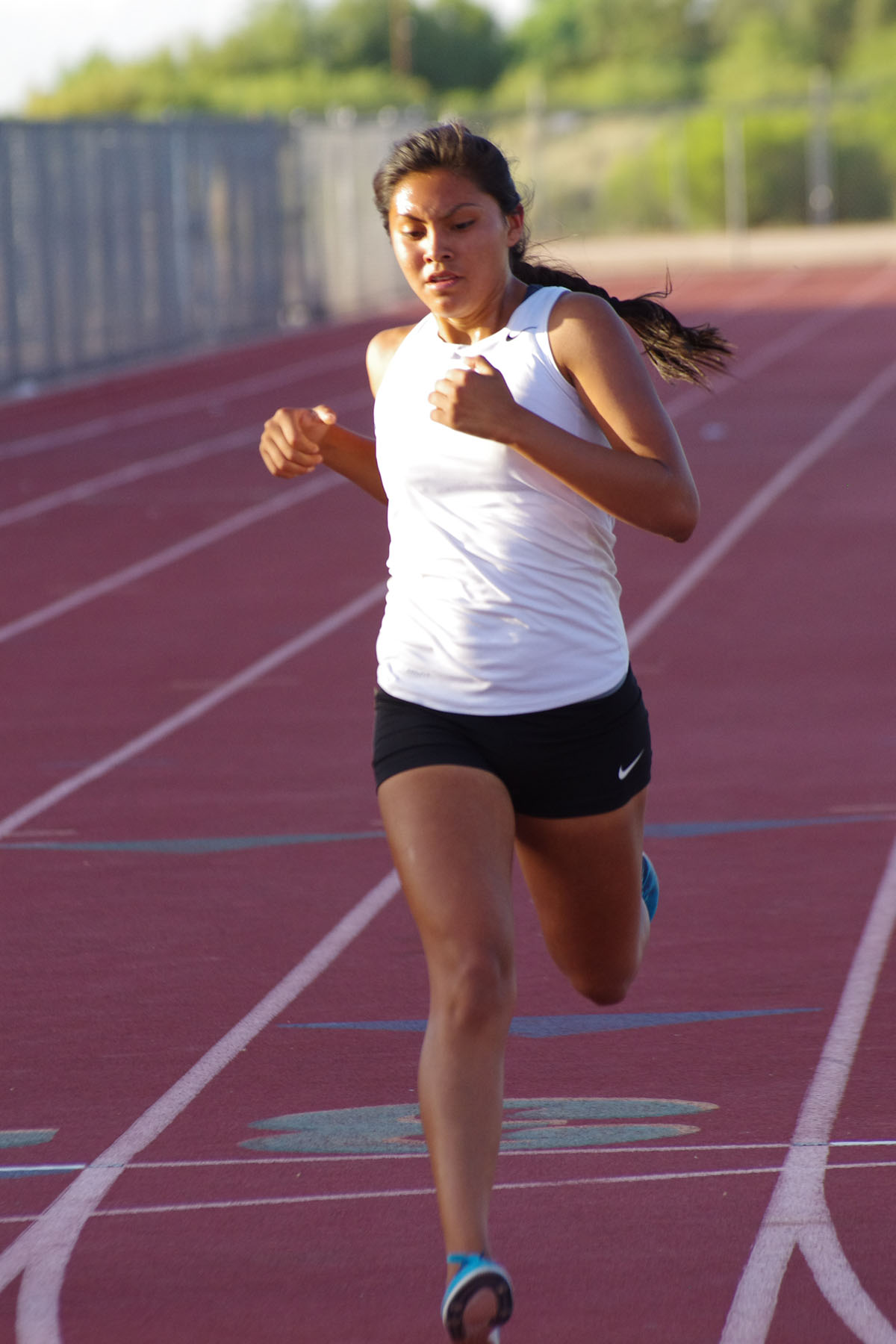 IMGP8990_C.jpg