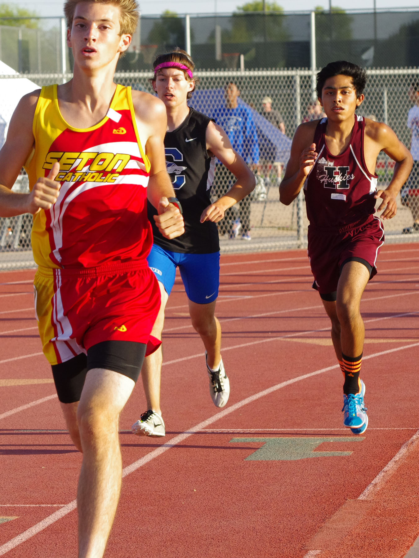 IMGP9028_C.jpg