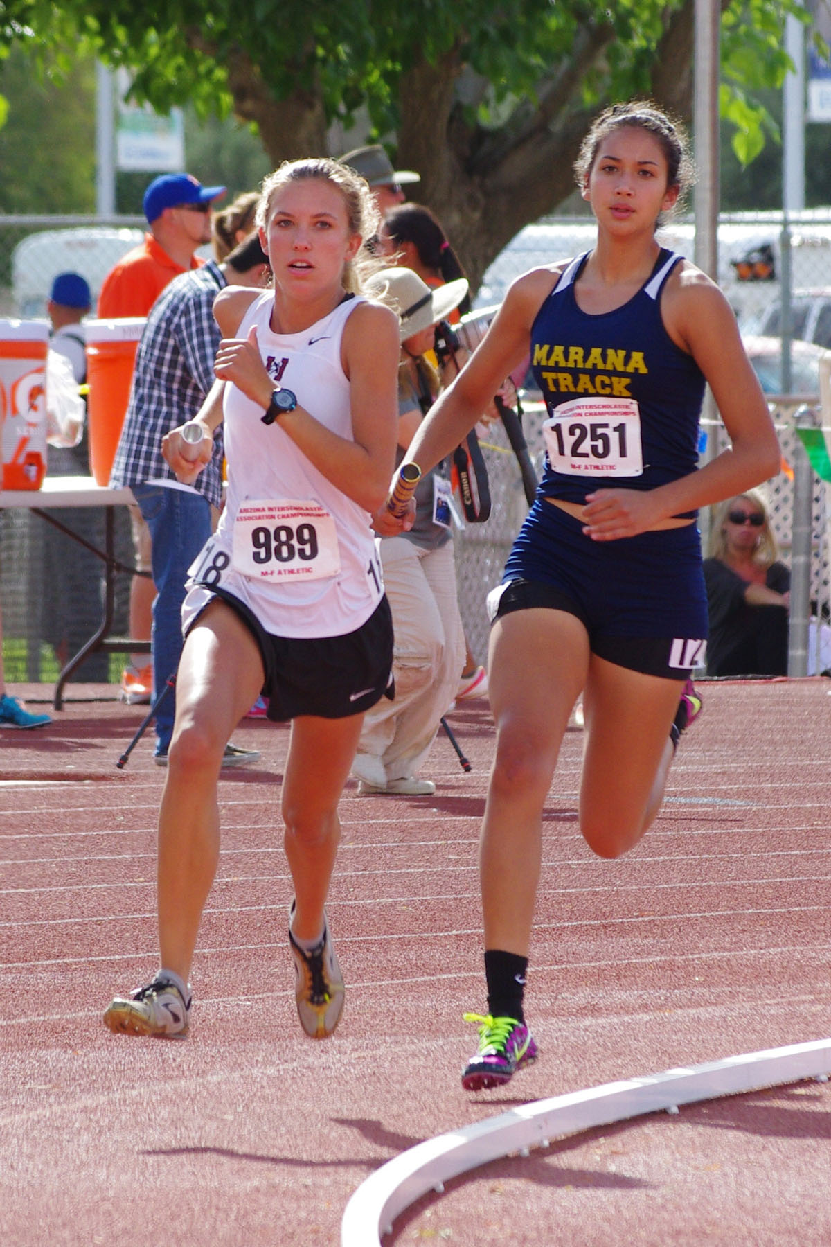 IMGP09716_CE.jpg