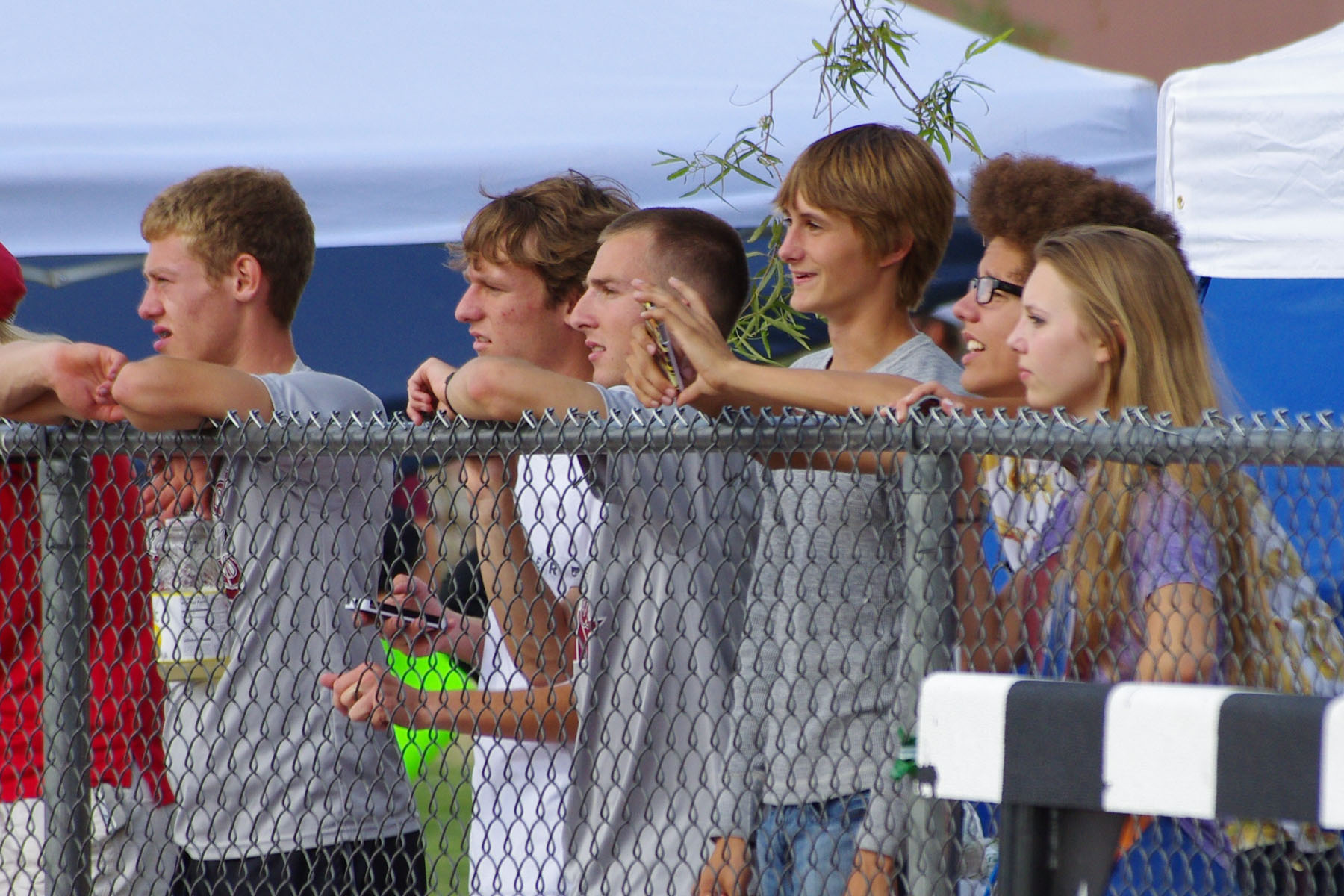 IMGP09729_C.jpg