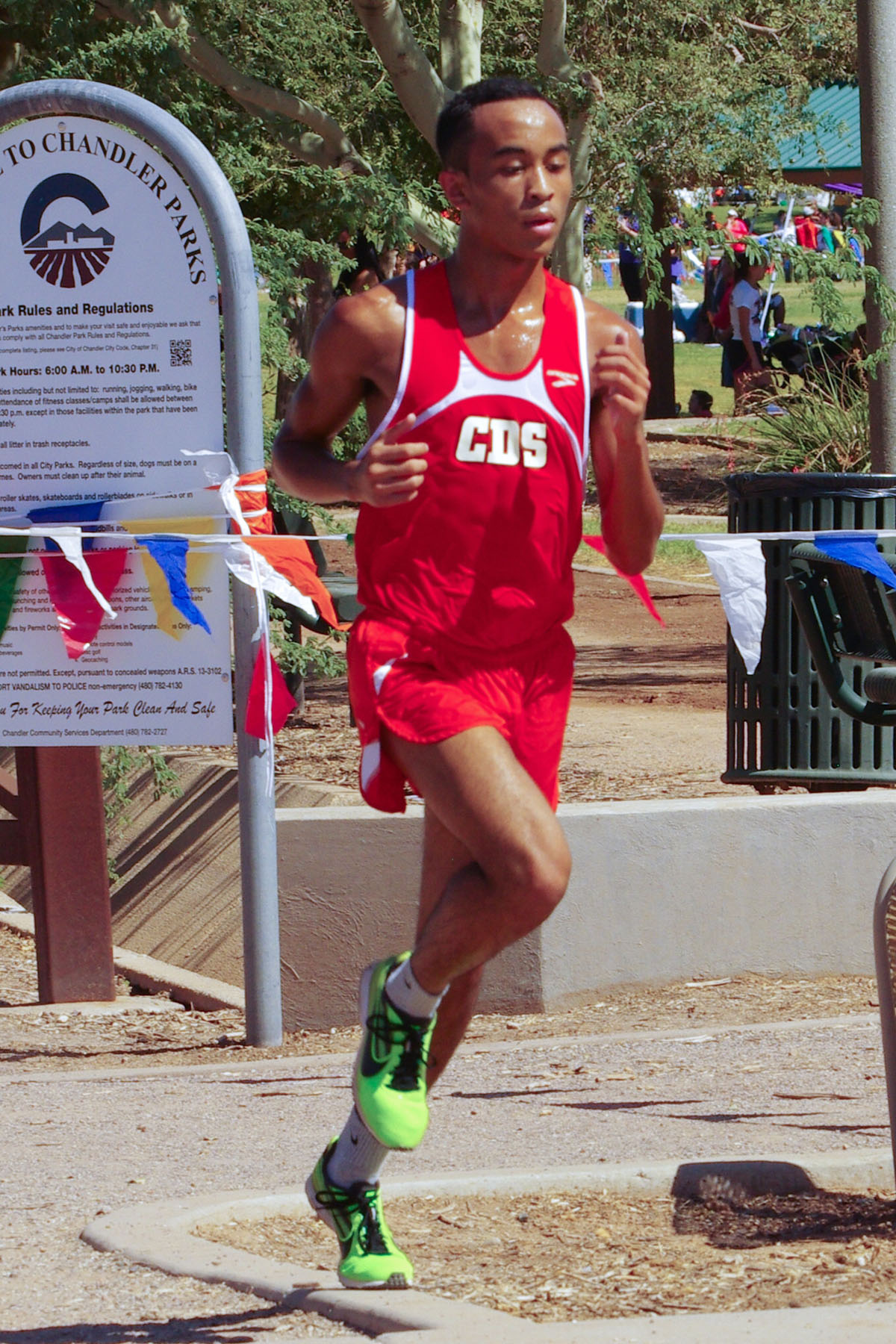 IMGP2256_C.jpg