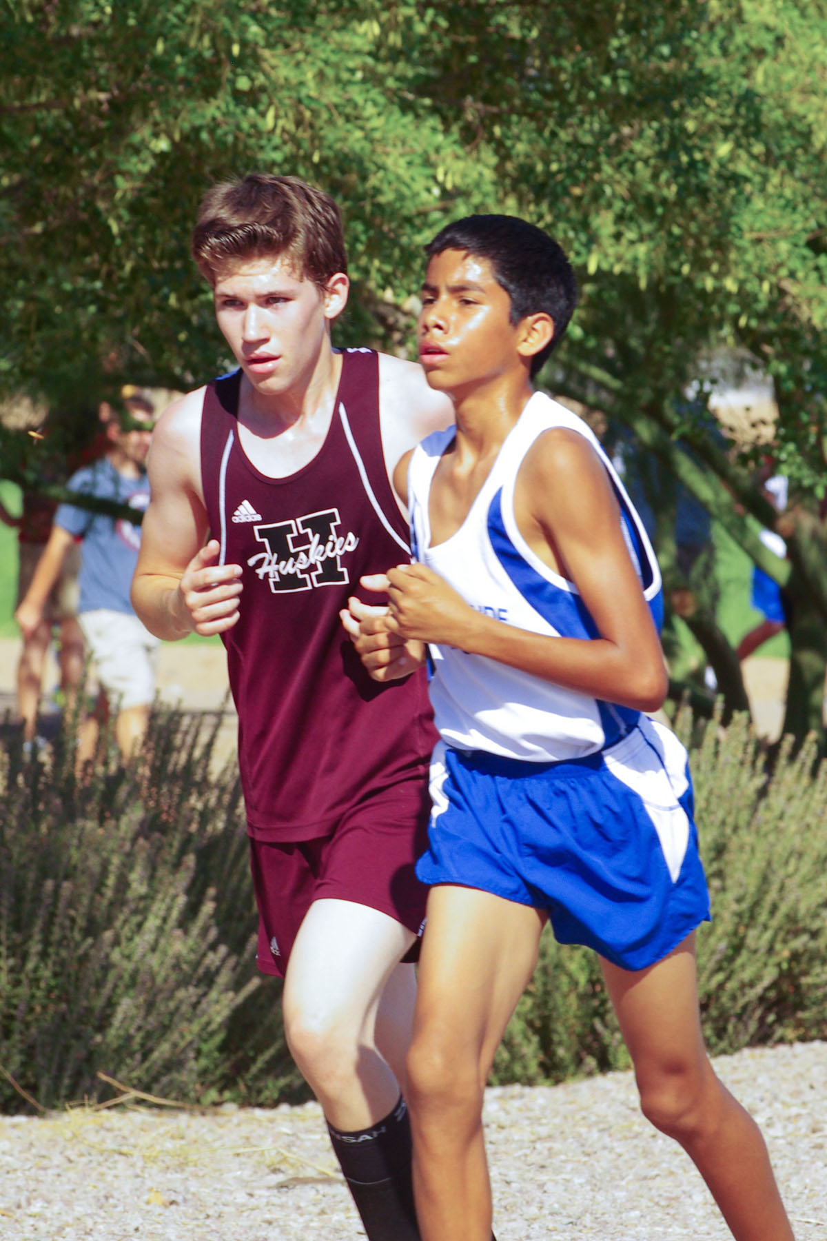 IMGP2009_C.jpg