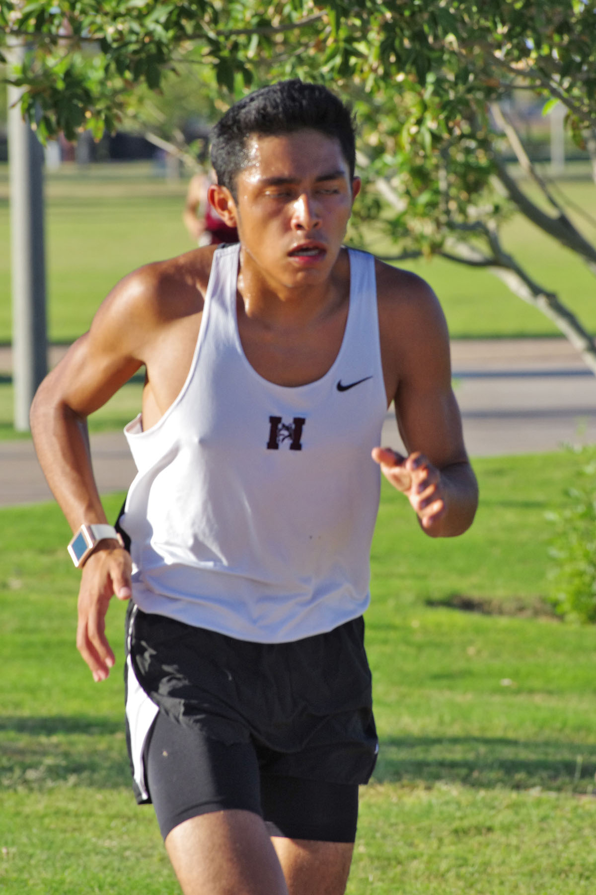IMGP3953_C.jpg
