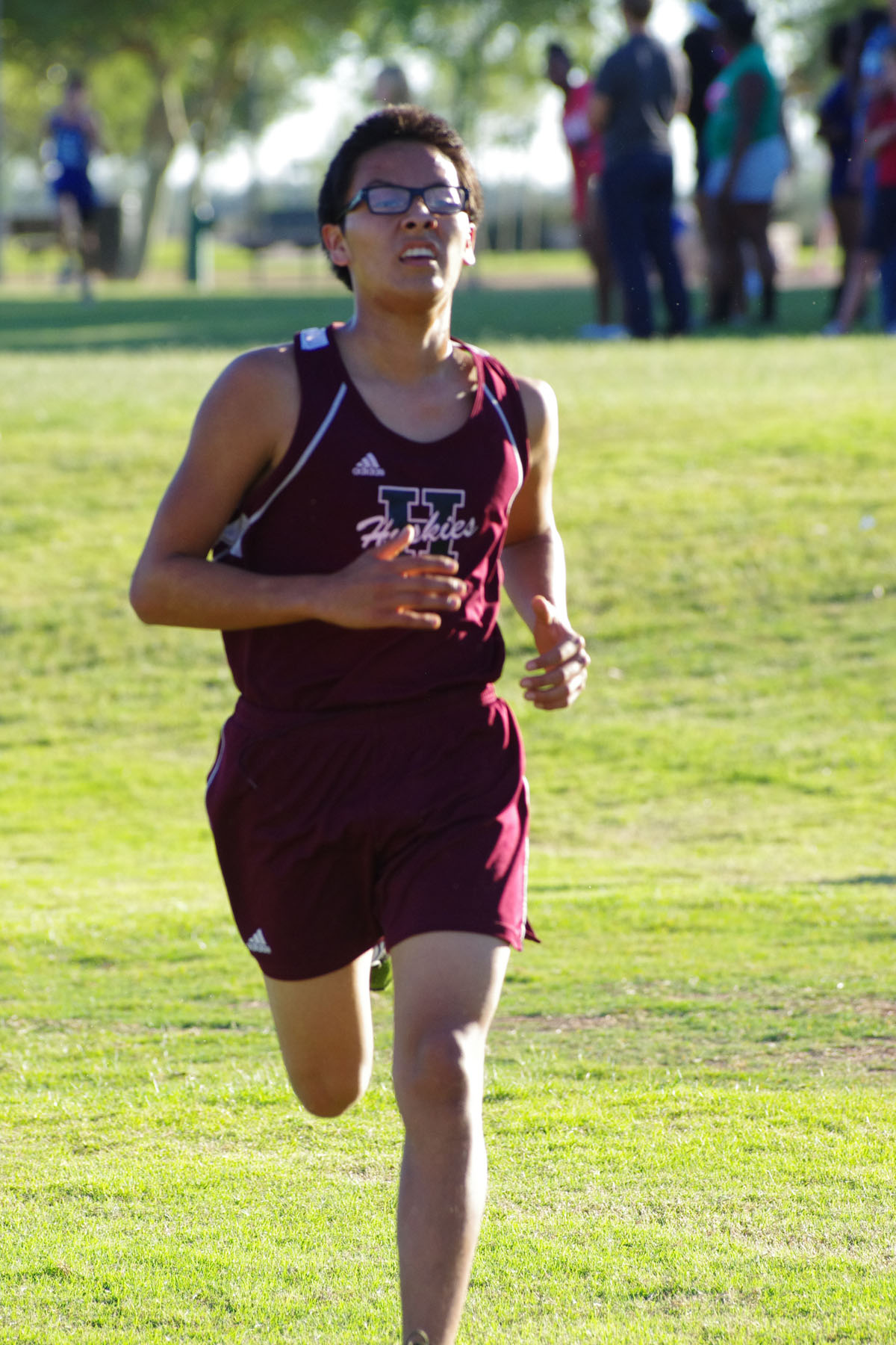 IMGP3980_C.jpg