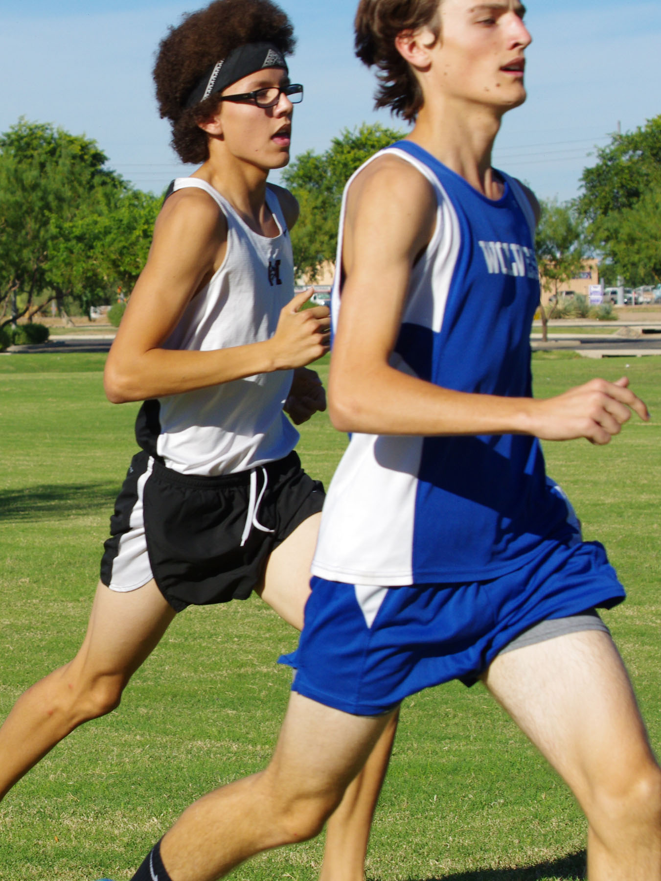 IMGP3772_C.jpg