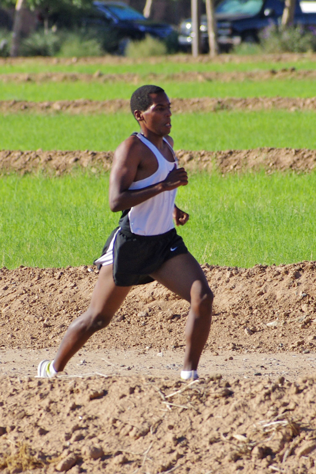 IMGP3782_CE.jpg